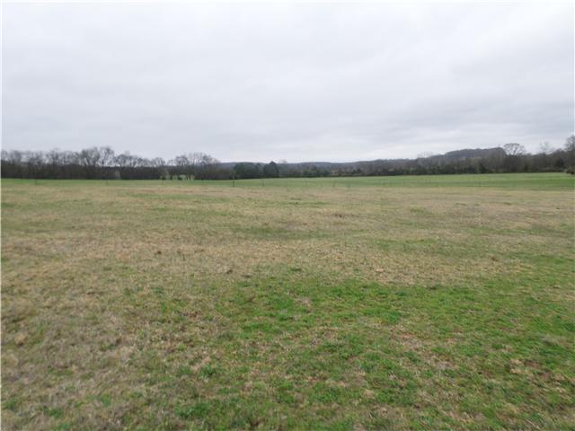 1156 Young Road Lebanon, TN 37090 - Photo 10 of 20 a view of lake view and mountain view