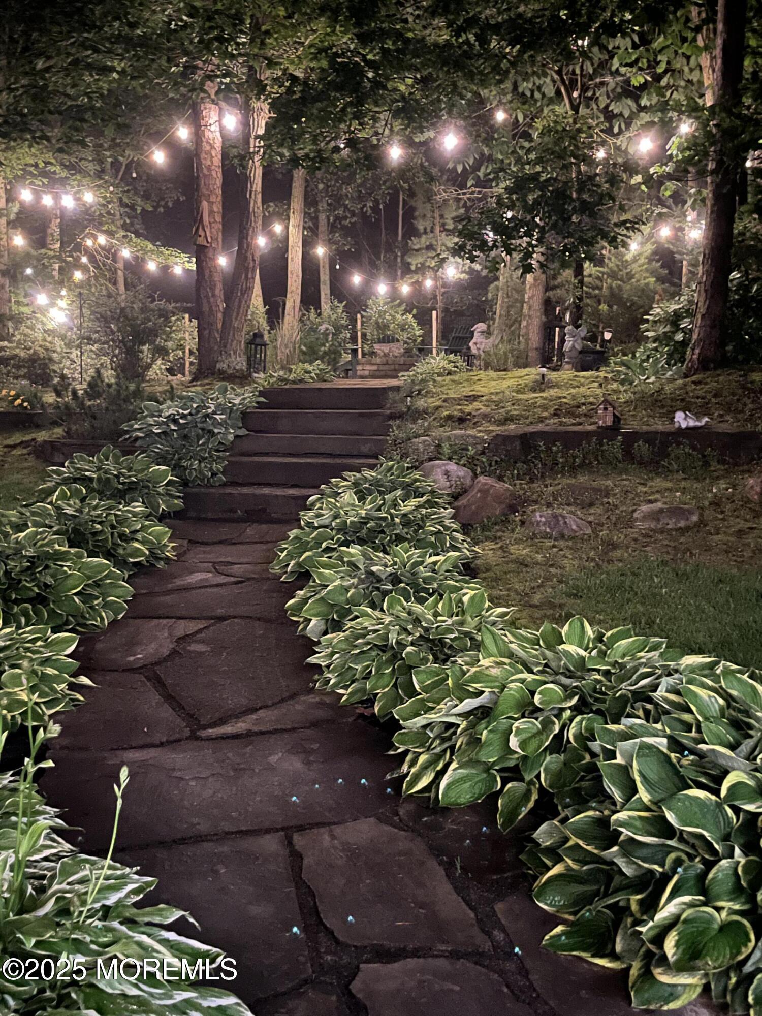 15 Conor Road Jackson, NJ 08527 - Photo 24 of 77 a view of a yard next to a yard