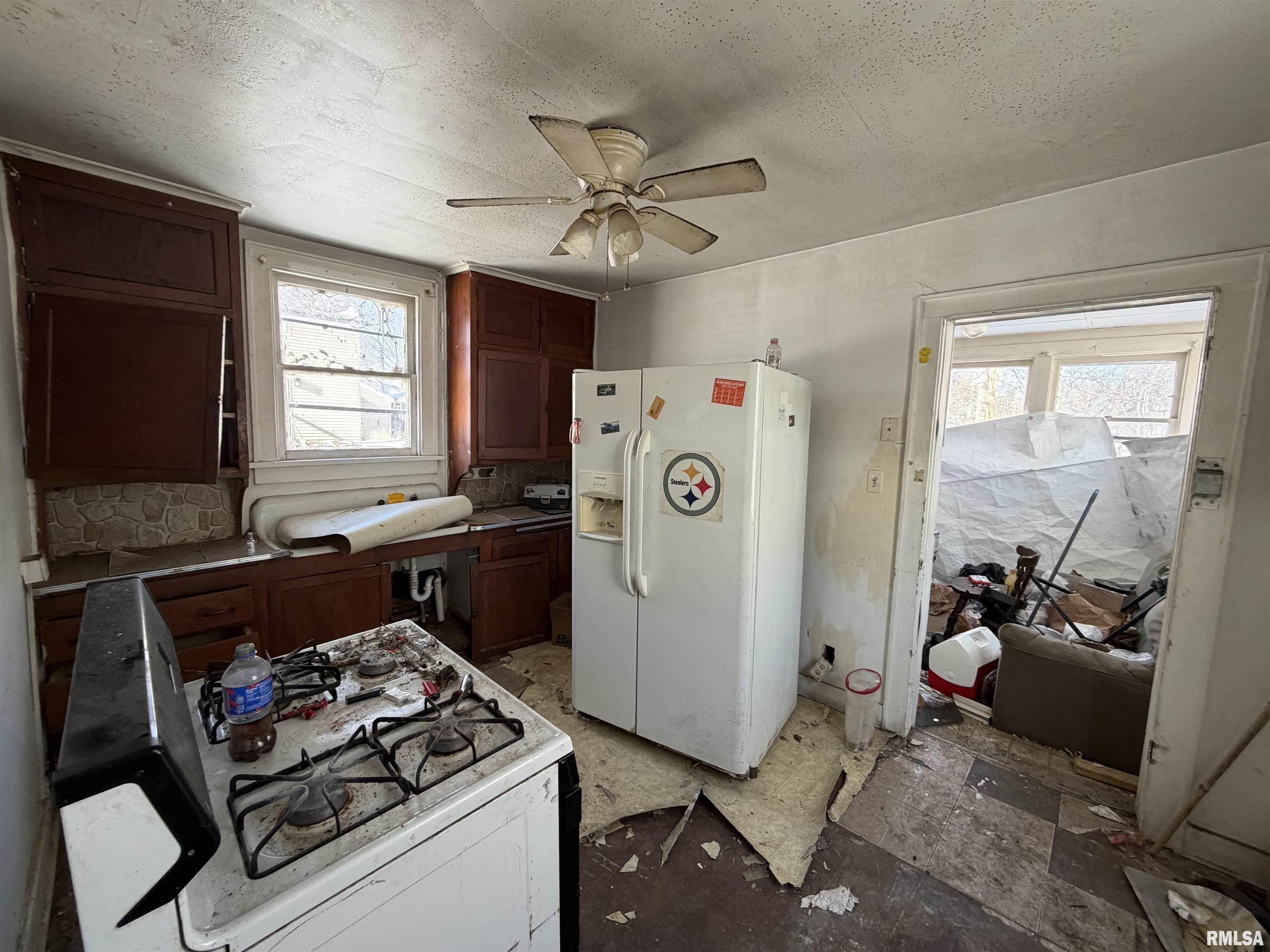 223 West Locust Street Canton, IL 61520 - Photo 5 of 5