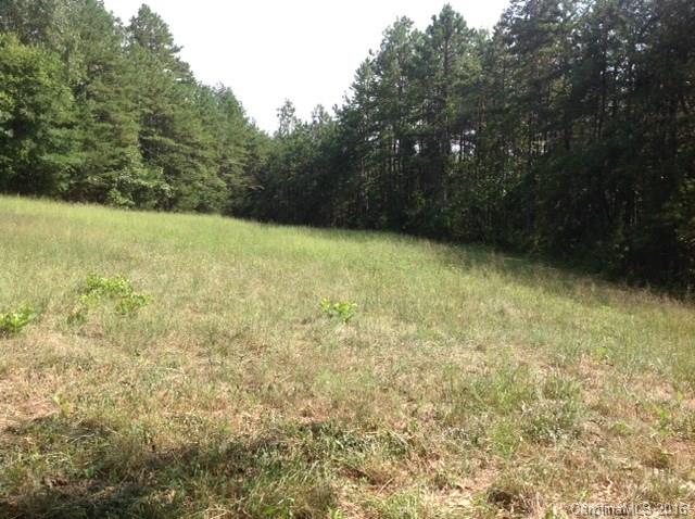 4205 River Road Hickory, NC 28602 - Photo 20 of 22 a view of a yard with a trees