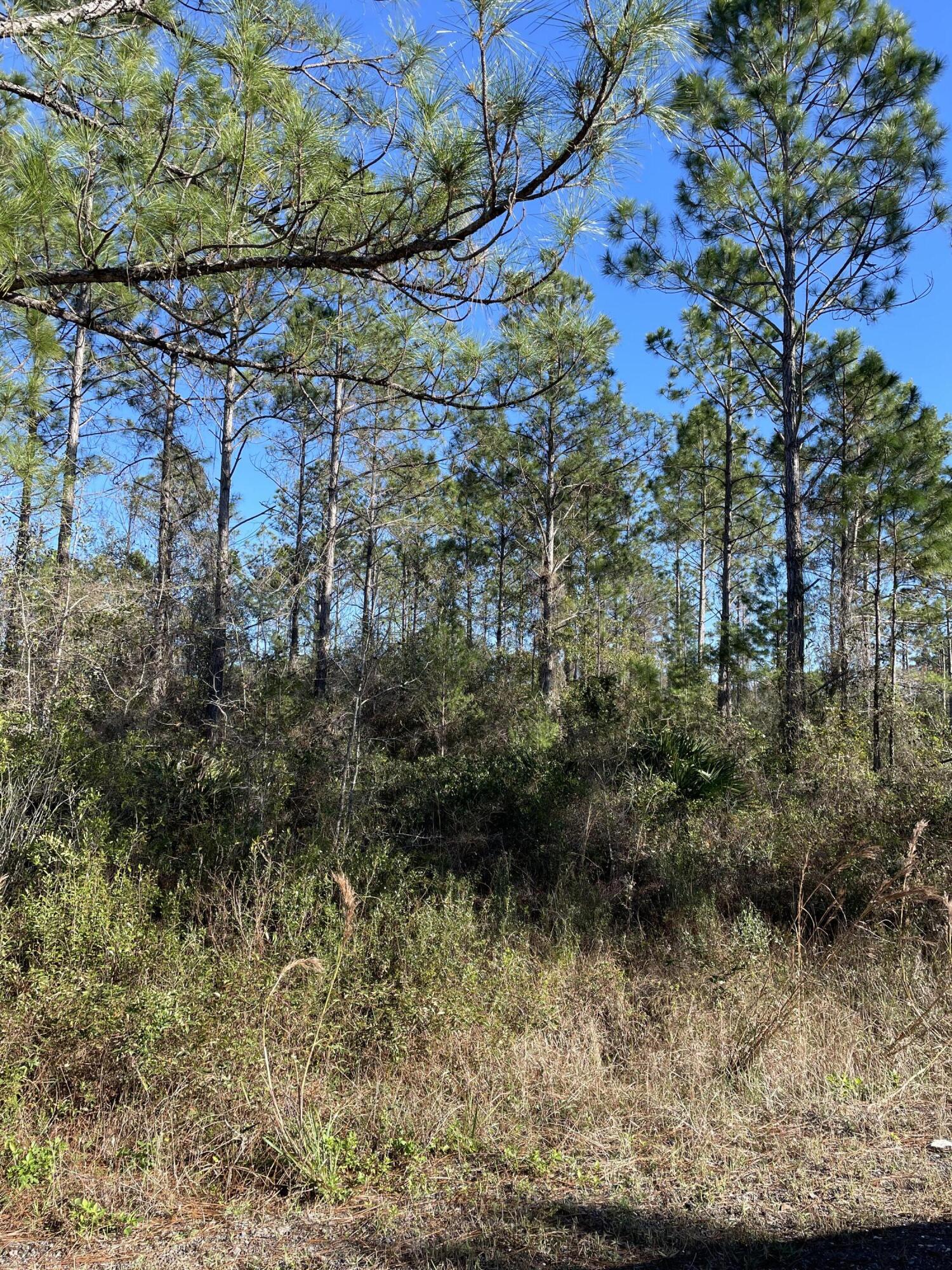 Lot 26 Rendezvous Drive Santa Rosa Beach, FL 32459 - Photo 2 of 3 Jones - Lot 26 Blk 1 Rendezvous Drive SR