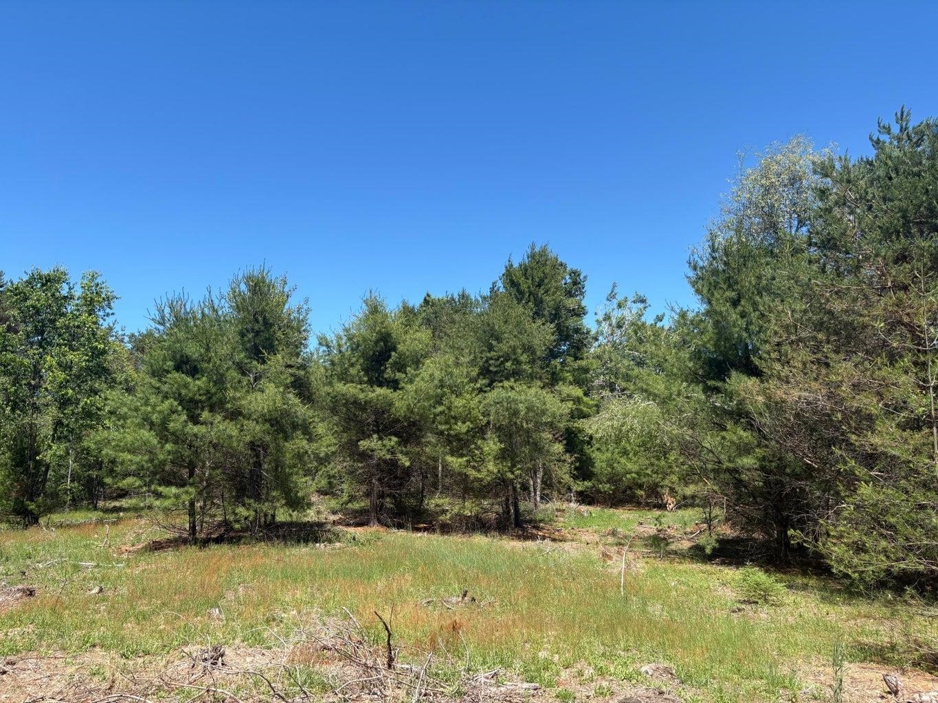 7.91 Butwell Road Bear Lake, MI 49614 - Photo 9 of 22
