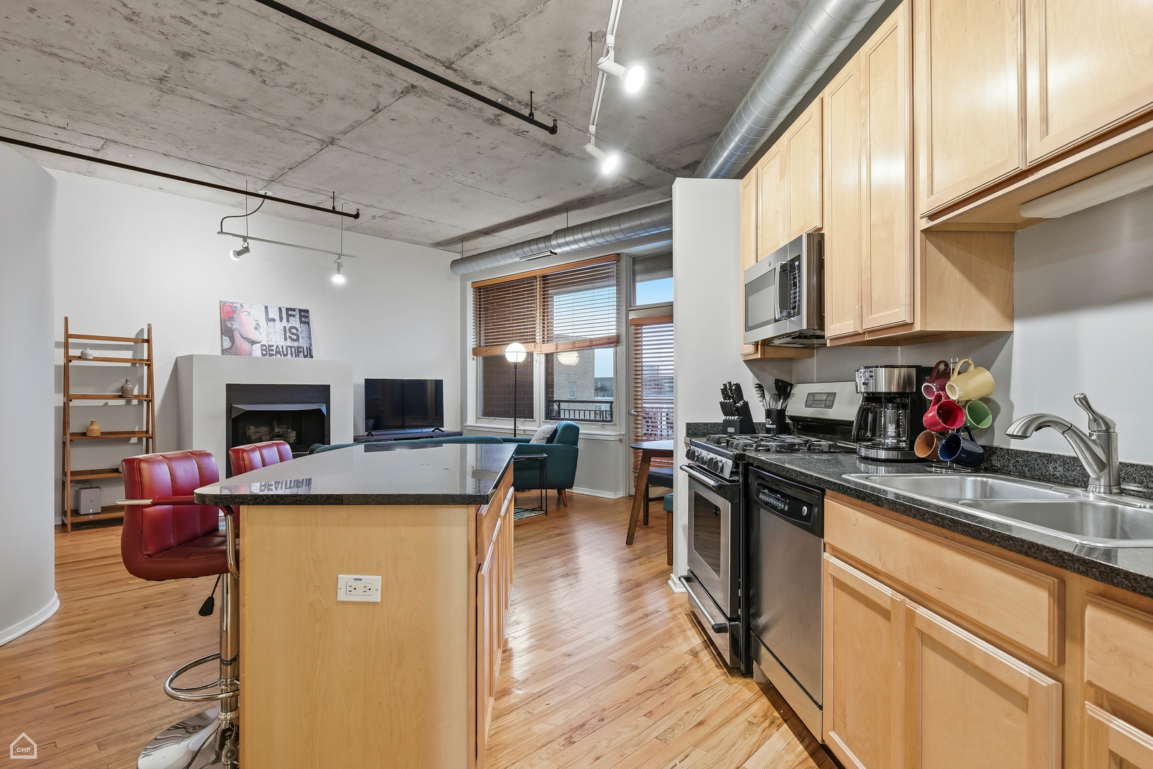 6 South Laflin Street, Unit 920 Chicago, IL 60607 - Photo 5 of 17