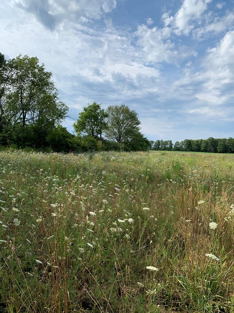 Tbd Lost Lake Road Egg Harbor, WI 54209 - Photo 11 of 29
