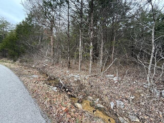 790 Rd Bronston Key Bronston, KY 42518 - Photo 6 of 27 image25