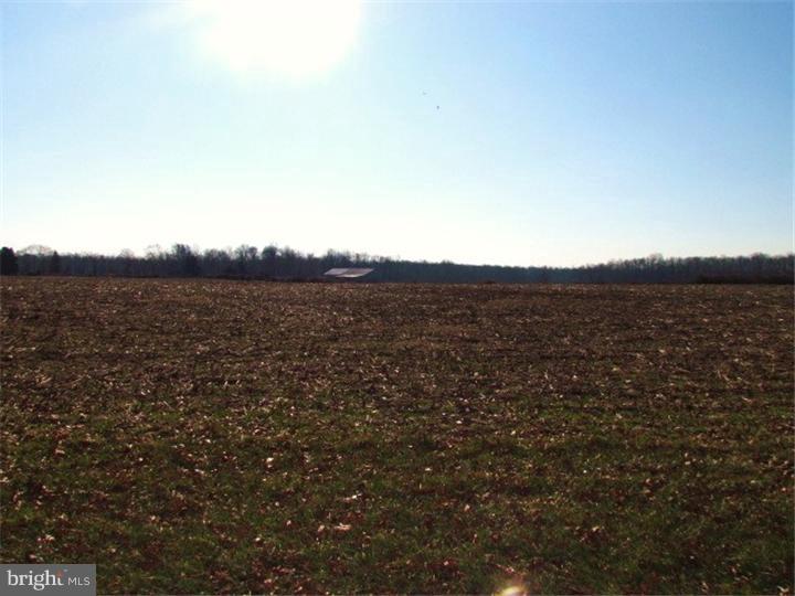 1.03 Alloway Aldine Road Alloway, NJ 08001 - Photo 3 of 3