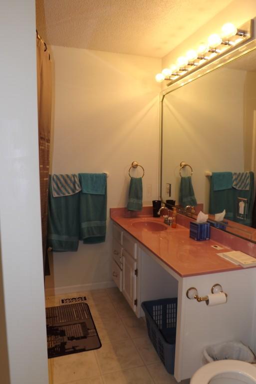 416 Creek Road Spring City, TN 37381 - Photo 11 of 21 master bathroom
