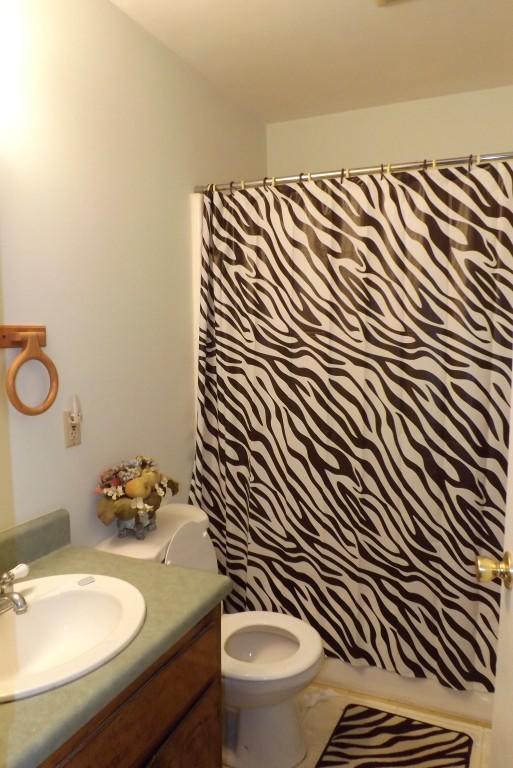 416 Creek Road Spring City, TN 37381 - Photo 14 of 21 guest bathroom