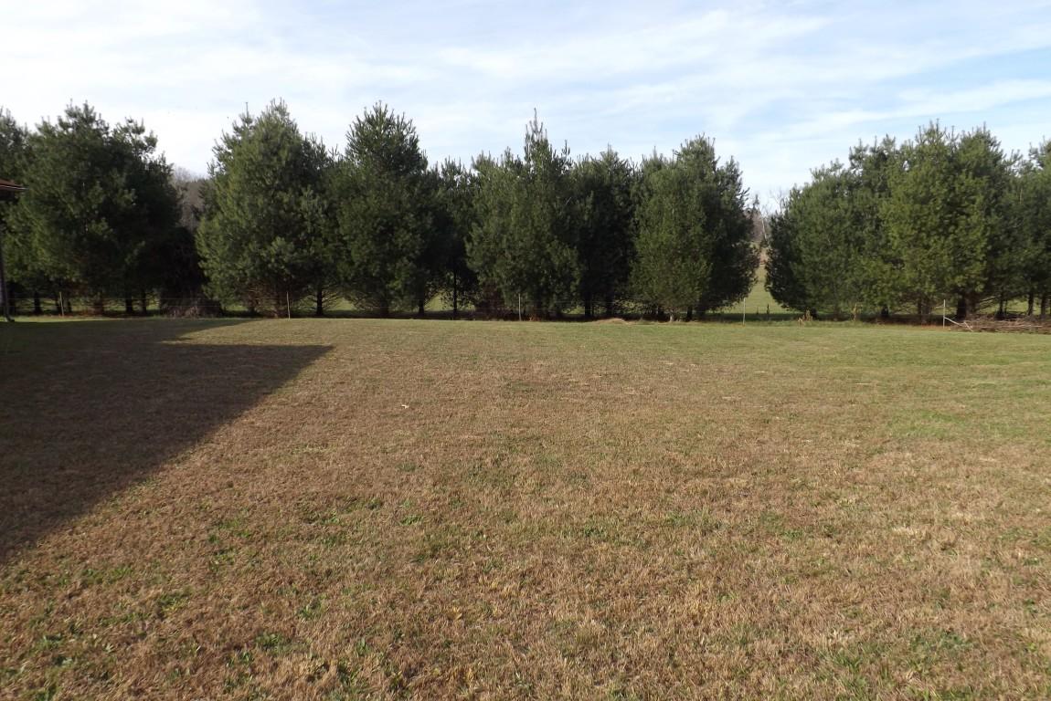 416 Creek Road Spring City, TN 37381 - Photo 19 of 21 property 2