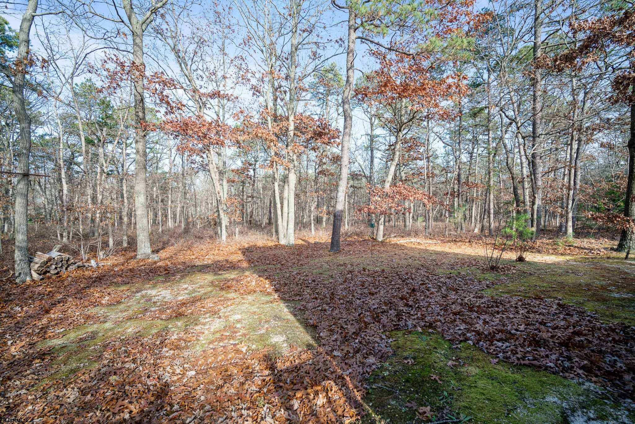 184 Federal Road Galloway Township, NJ 08205 - Photo 5 of 20 Gallery Image 5