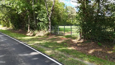 a view of a yard with large trees