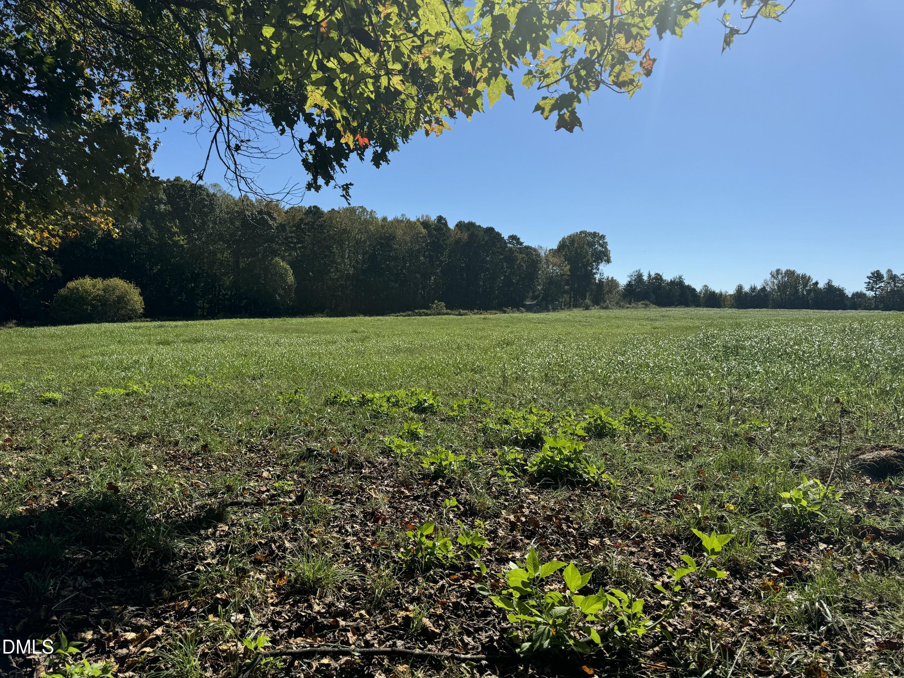 1 High Rock Road Efland, NC 27243 - Photo 9 of 15 a view of a big yard with plants and a large tree