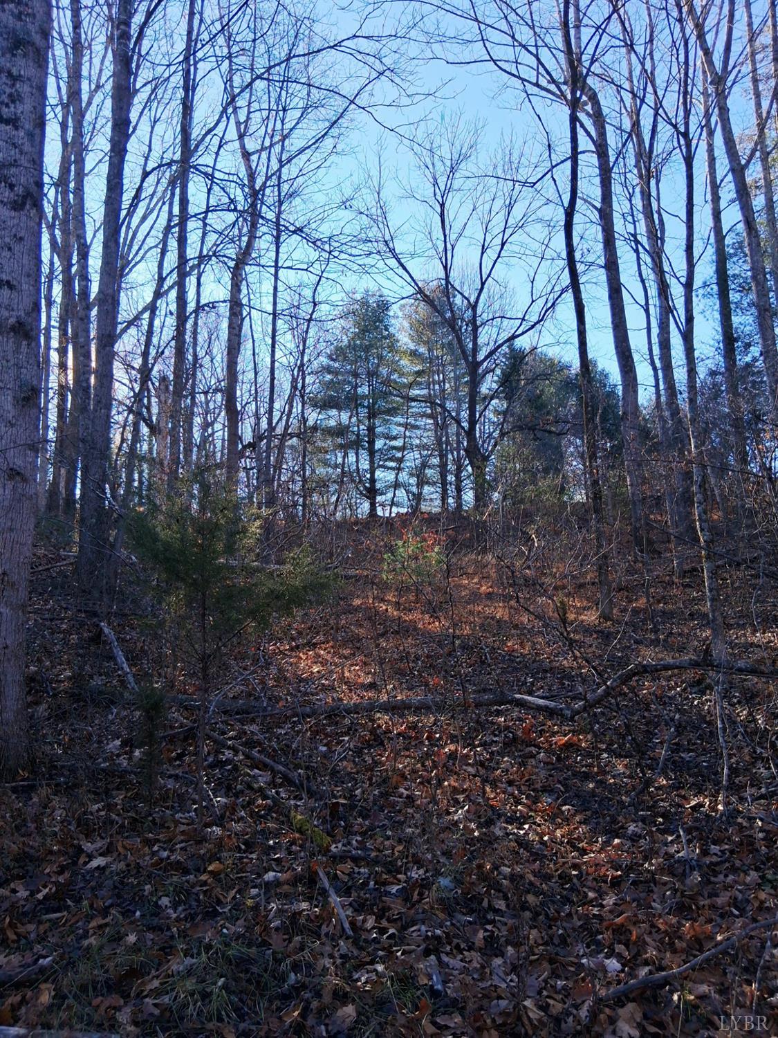 0 Peters Creek Road Big Island, VA 24526 - Photo 1 of 6