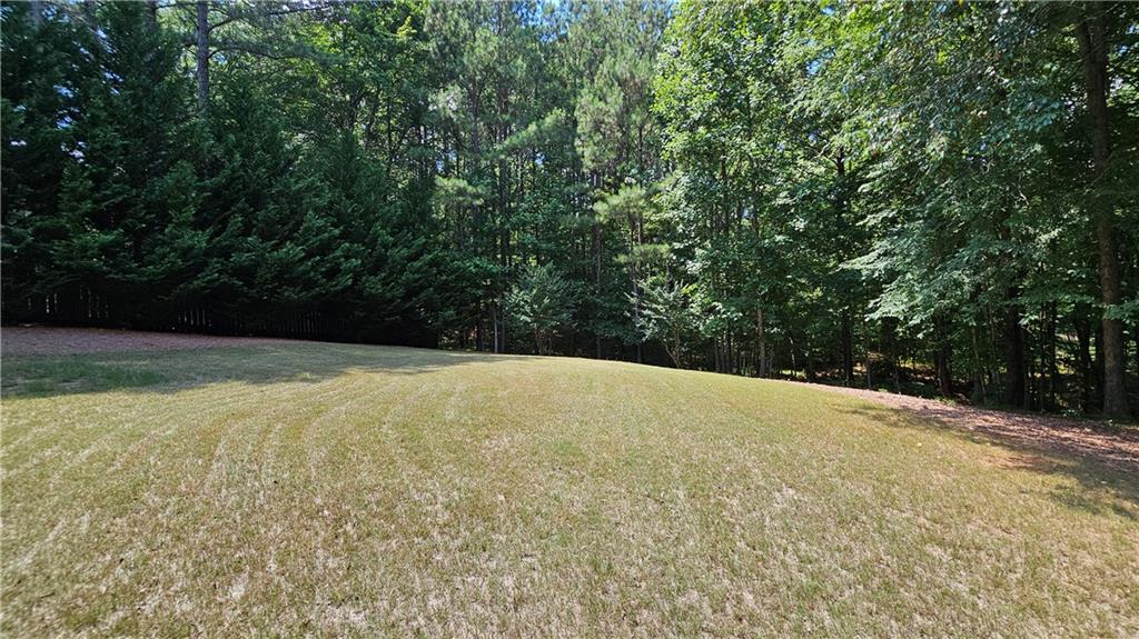 43 Ivy Mist Lane Acworth, GA 30101 - Photo 36 of 58 a view of outdoor space and yard