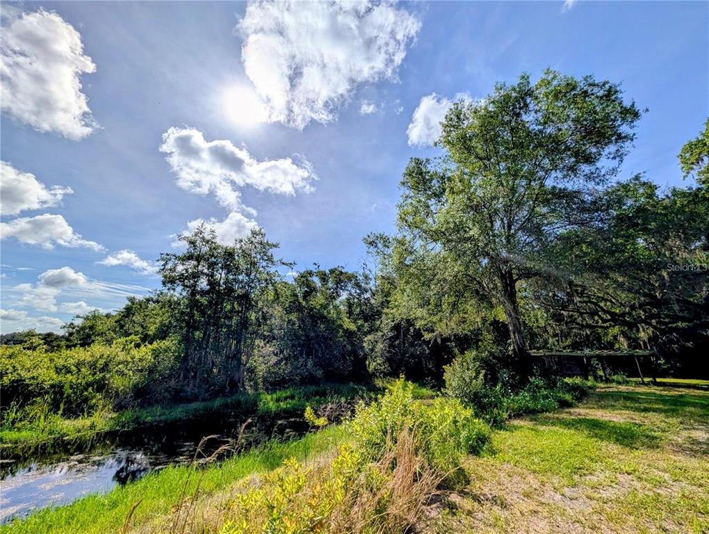0 North Toro Drive Inverness, FL 34453 - Photo 8 of 12