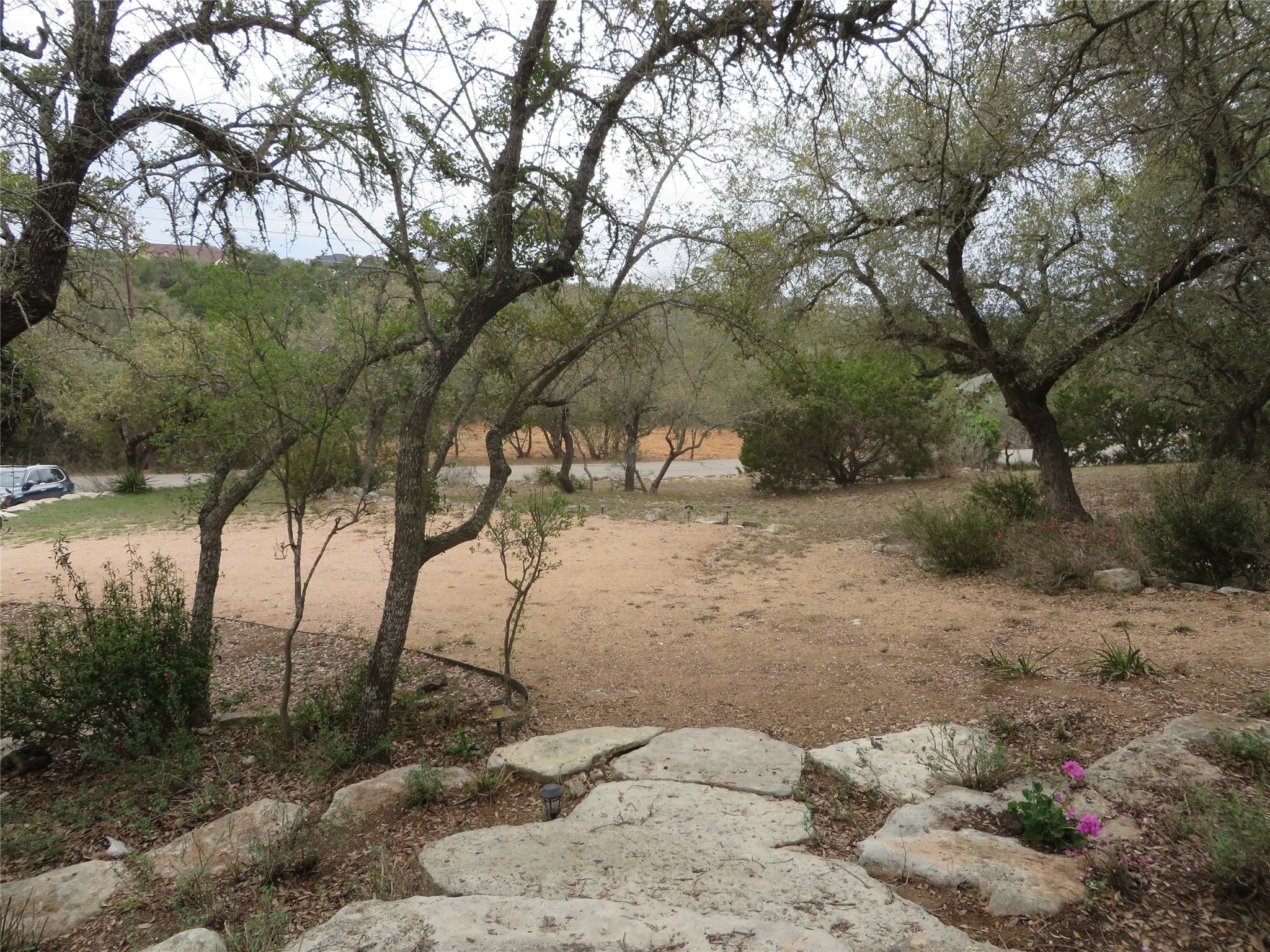 1761 Cottonwood Road Fischer, TX 78623 - Photo 17 of 29 a view of backyard with green space