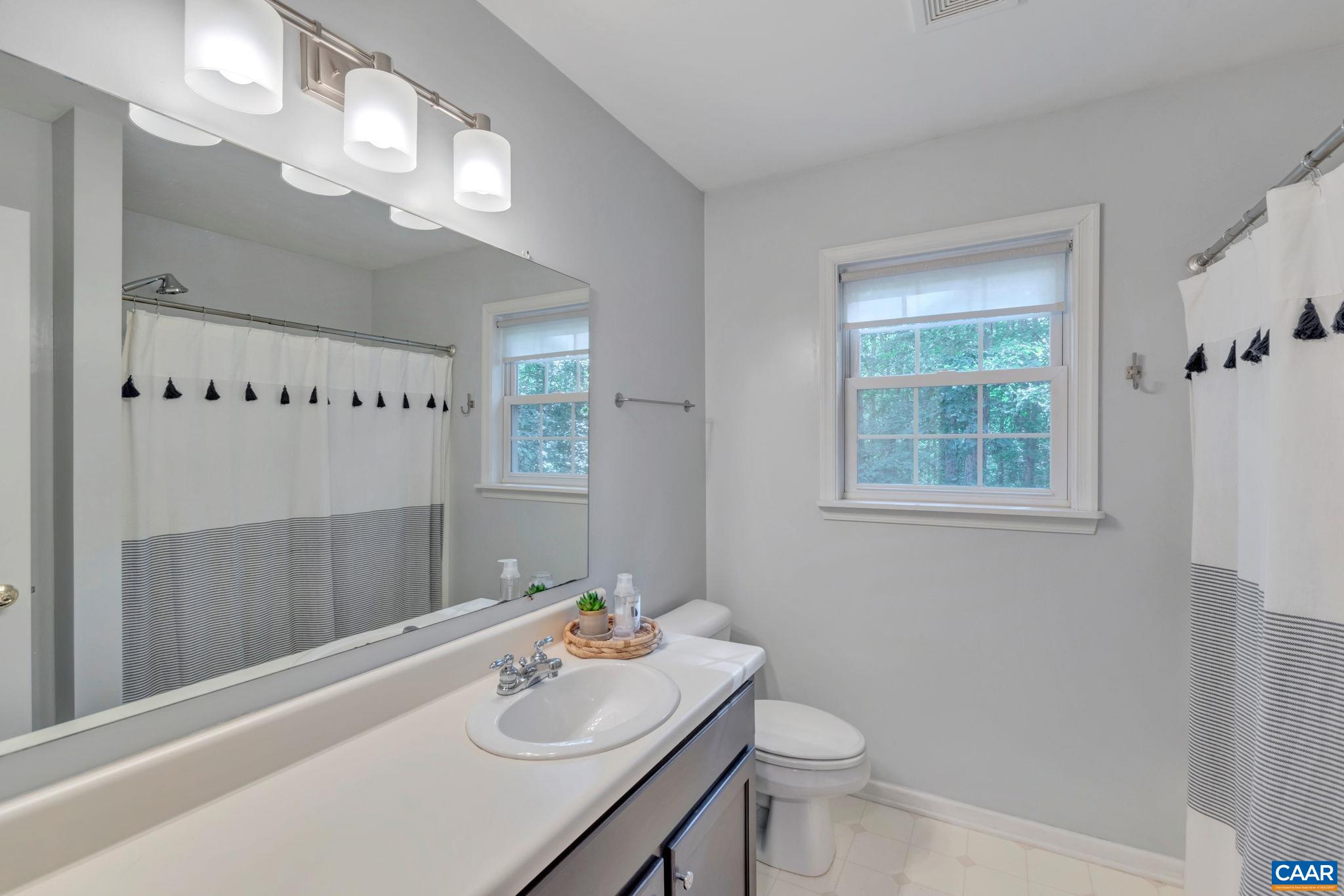 9 Colonial Road Palmyra, VA 22963 - Photo 26 of 49 a bathroom with a sink a toilet and a mirror