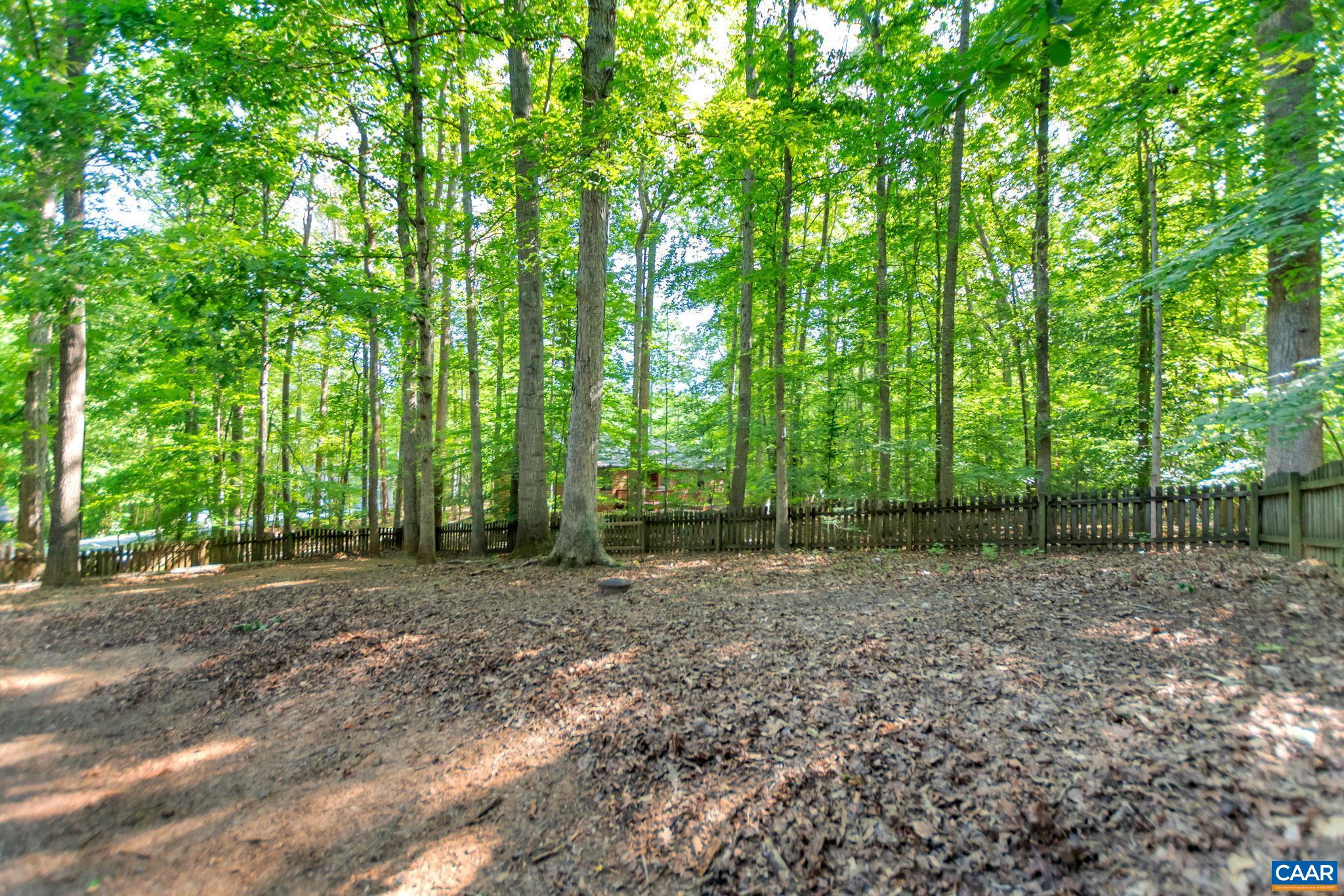 9 Colonial Road Palmyra, VA 22963 - Photo 44 of 49 a view of a yard with trees in the background
