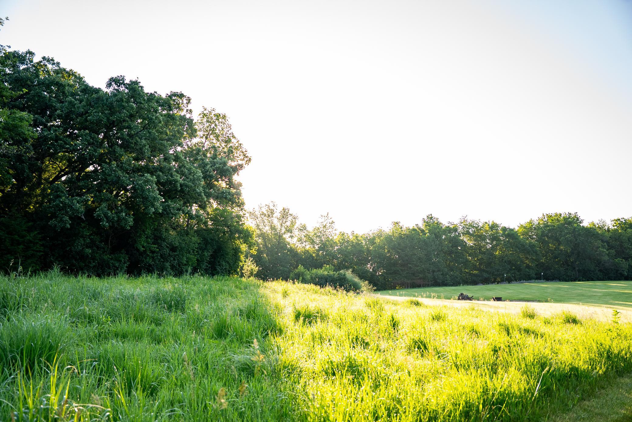 32592 Juniper Road Chatfield, MN 55923 - Photo 36 of 57