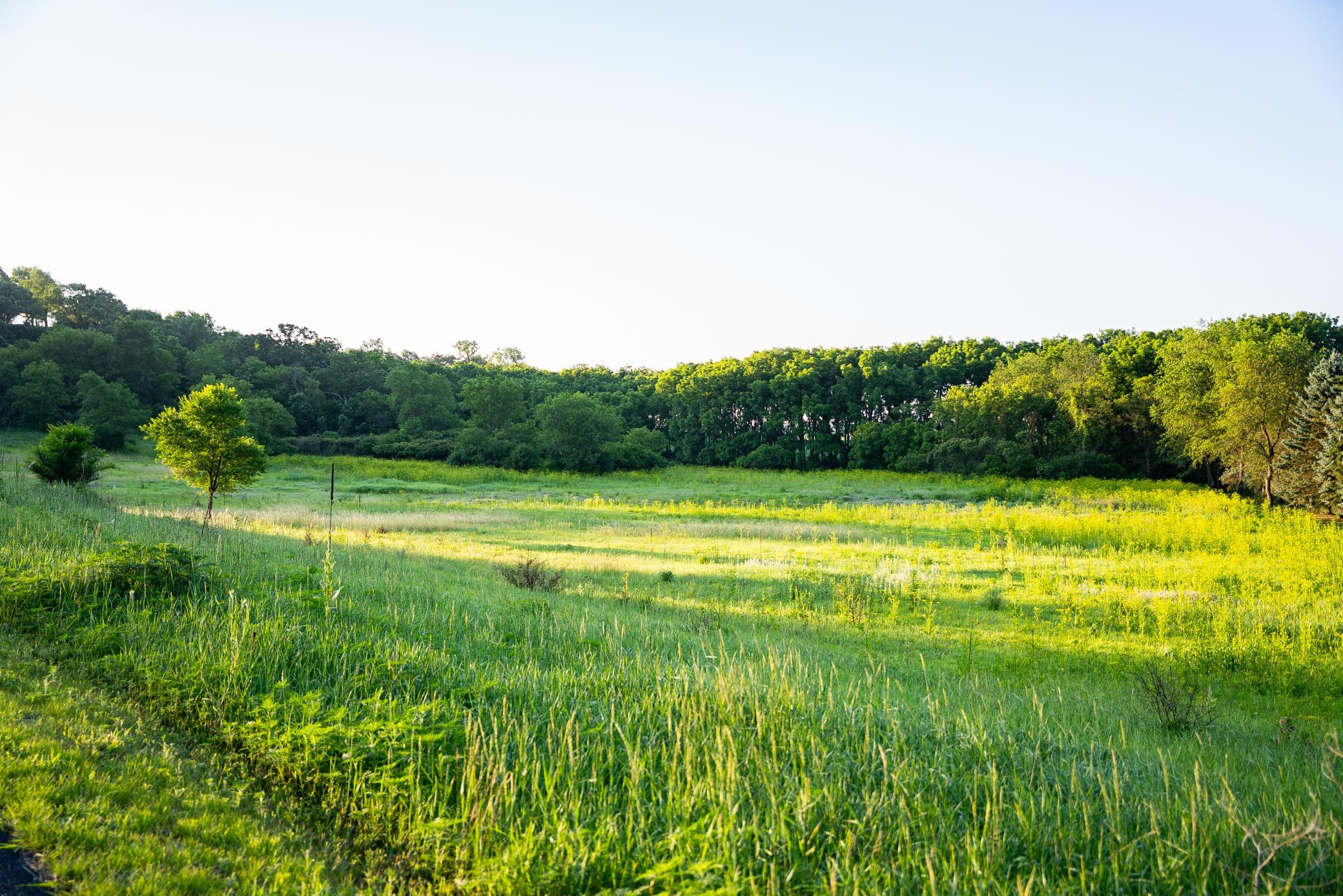 32592 Juniper Road Chatfield, MN 55923 - Photo 40 of 57