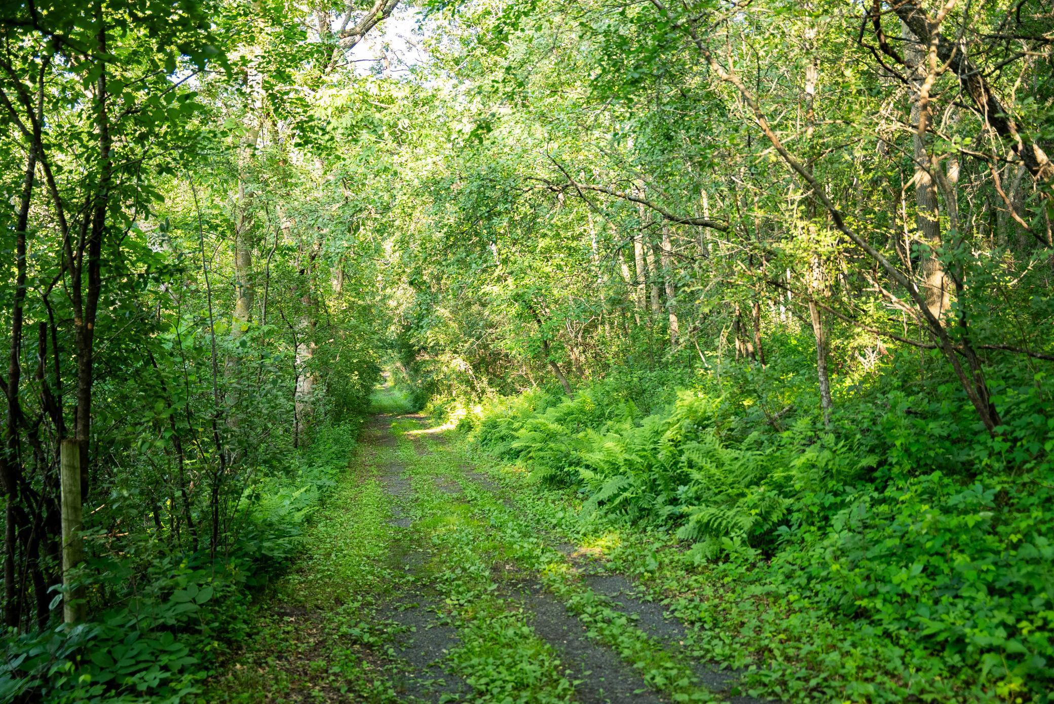 32592 Juniper Road Chatfield, MN 55923 - Photo 43 of 57