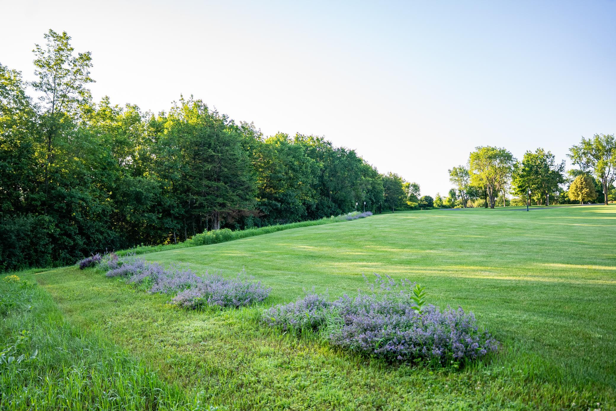 32592 Juniper Road Chatfield, MN 55923 - Photo 45 of 57