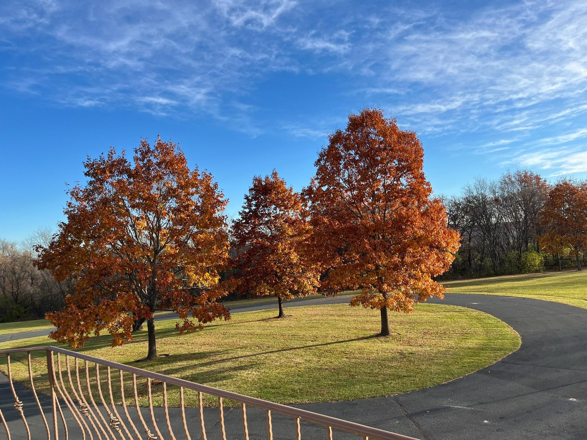 32592 Juniper Road Chatfield, MN 55923 - Photo 57 of 57