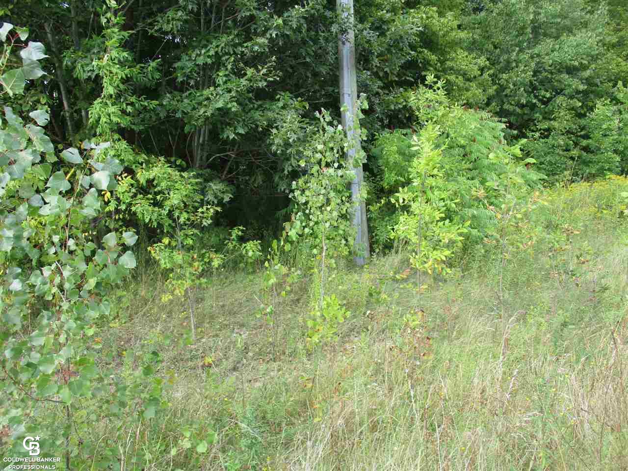 0 Fox Ridge Lane Allenton, MI 48002 - Photo 11 of 12