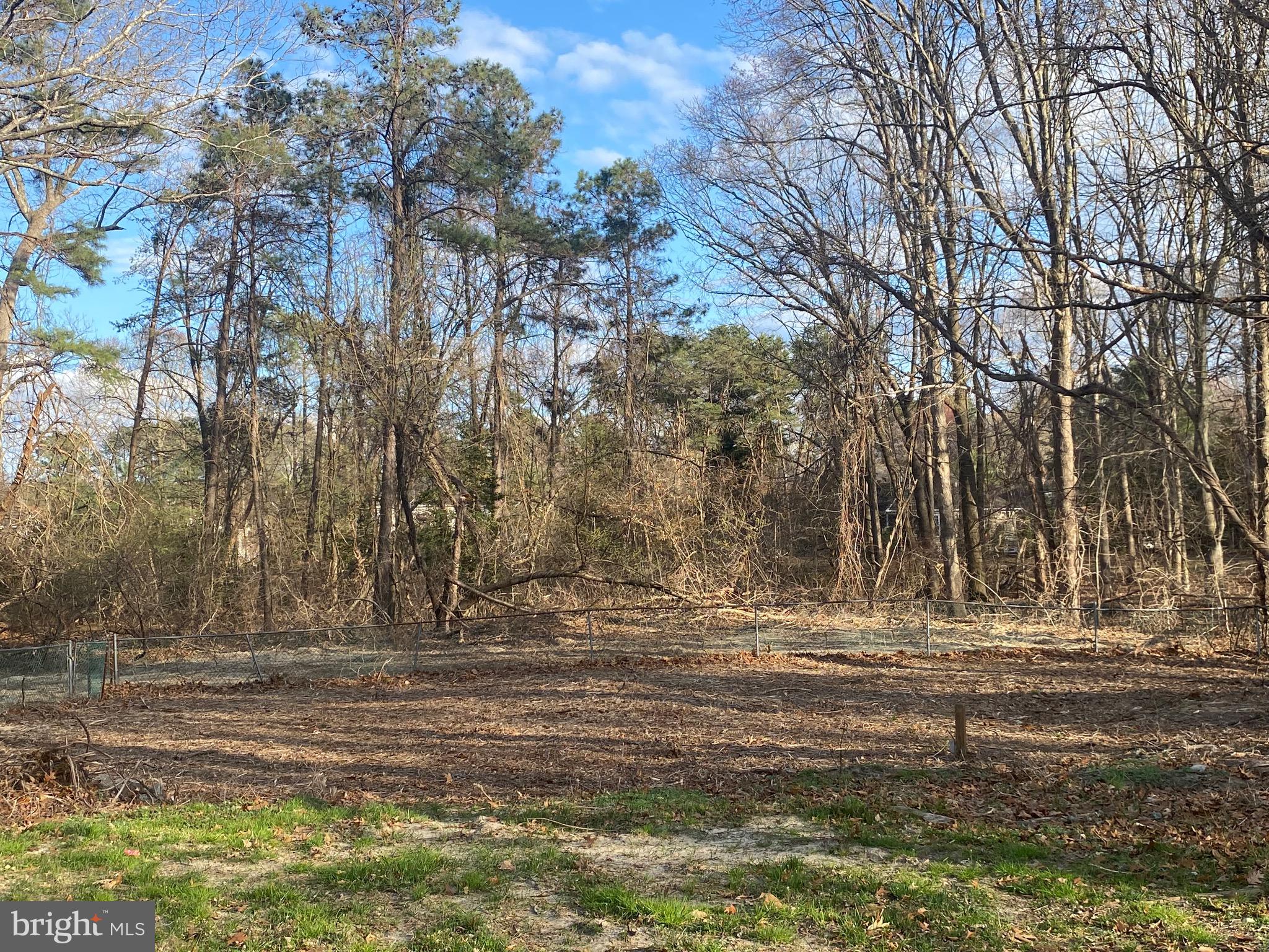 24247 Old Meadow Road Seaford, DE 19973 - Photo 21 of 21