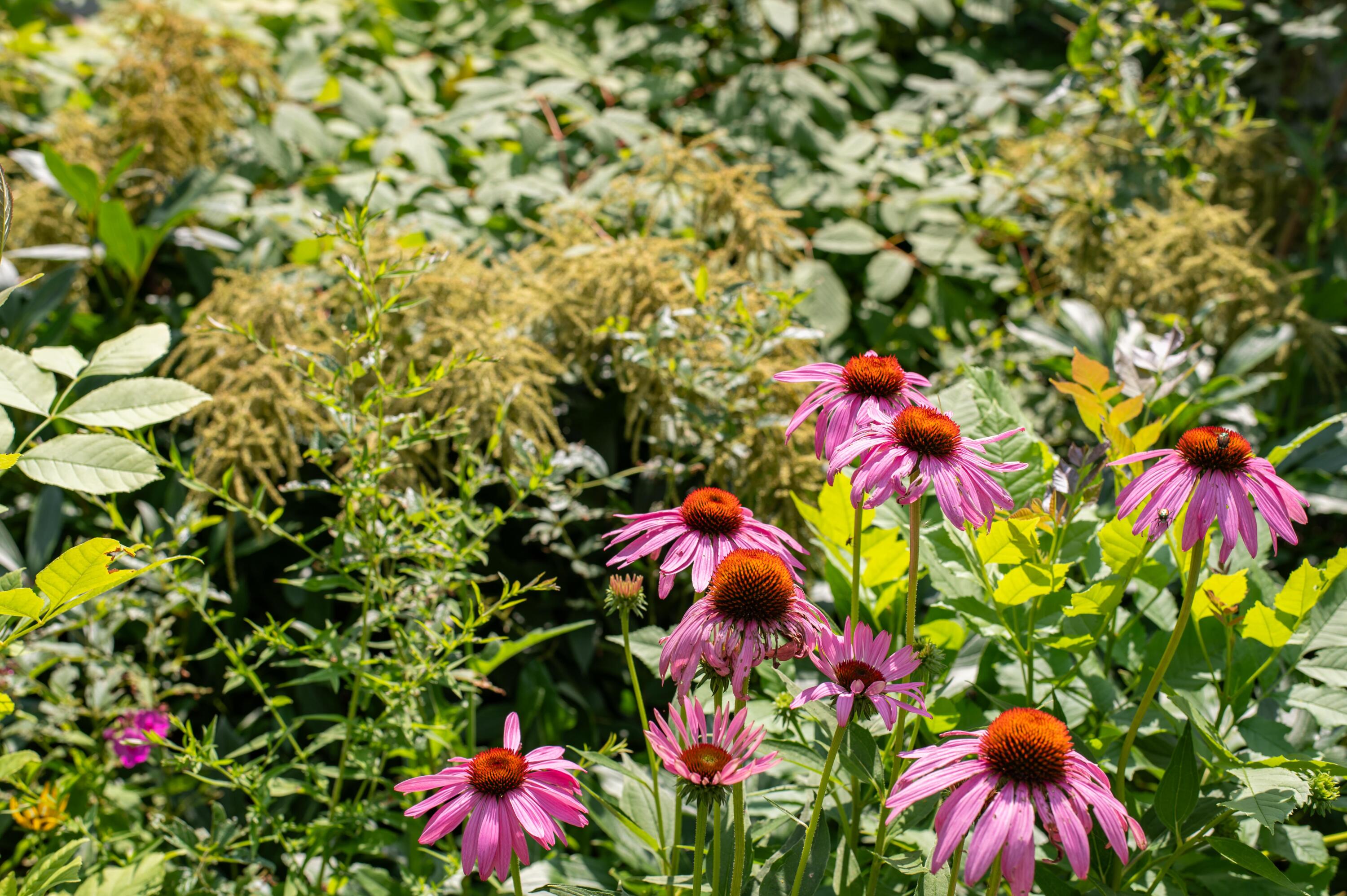 191 Broadway Bangor, ME 04401 - Photo 56 of 67 Broadway-42