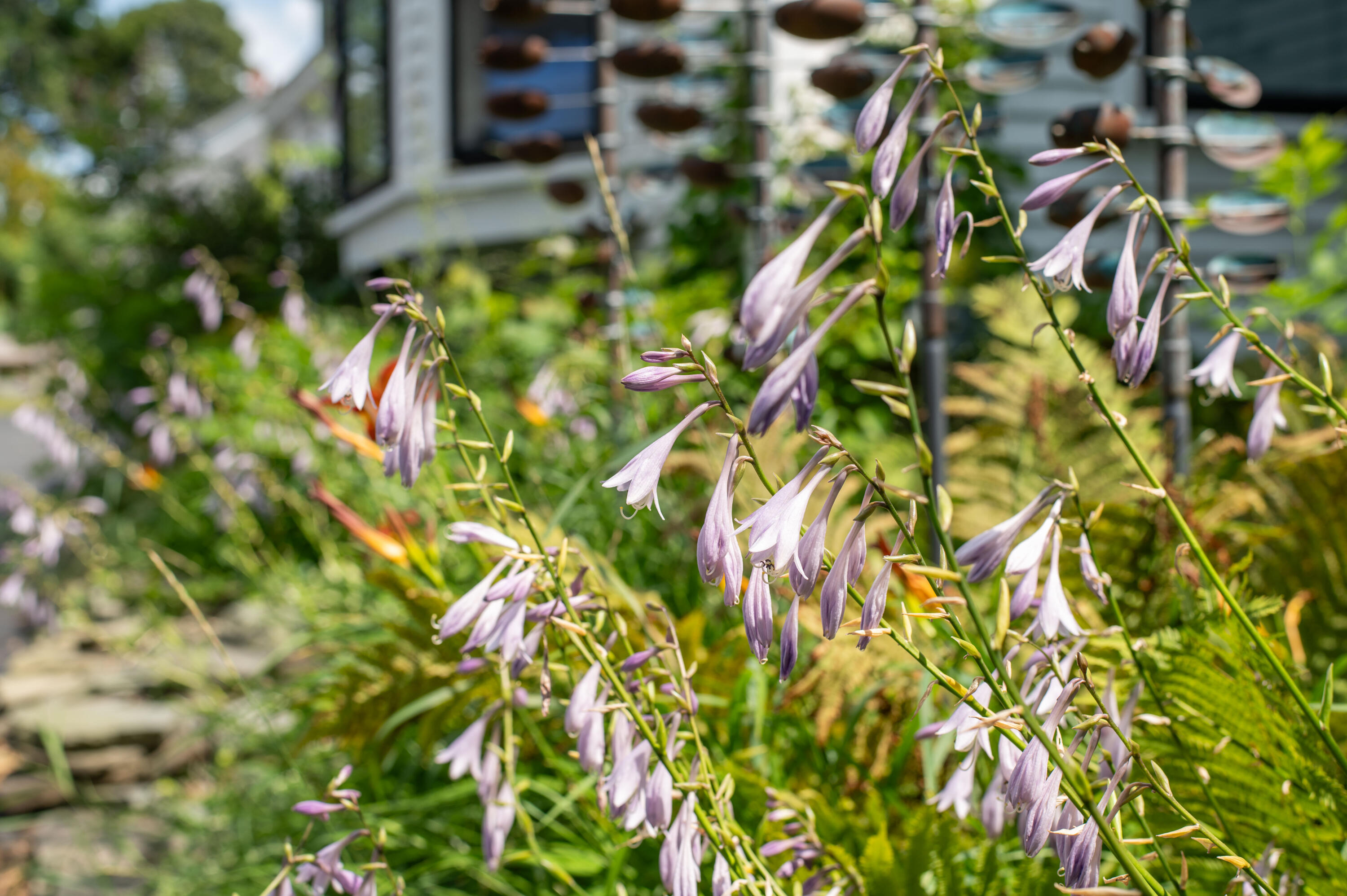 191 Broadway Bangor, ME 04401 - Photo 67 of 67 Broadway-48