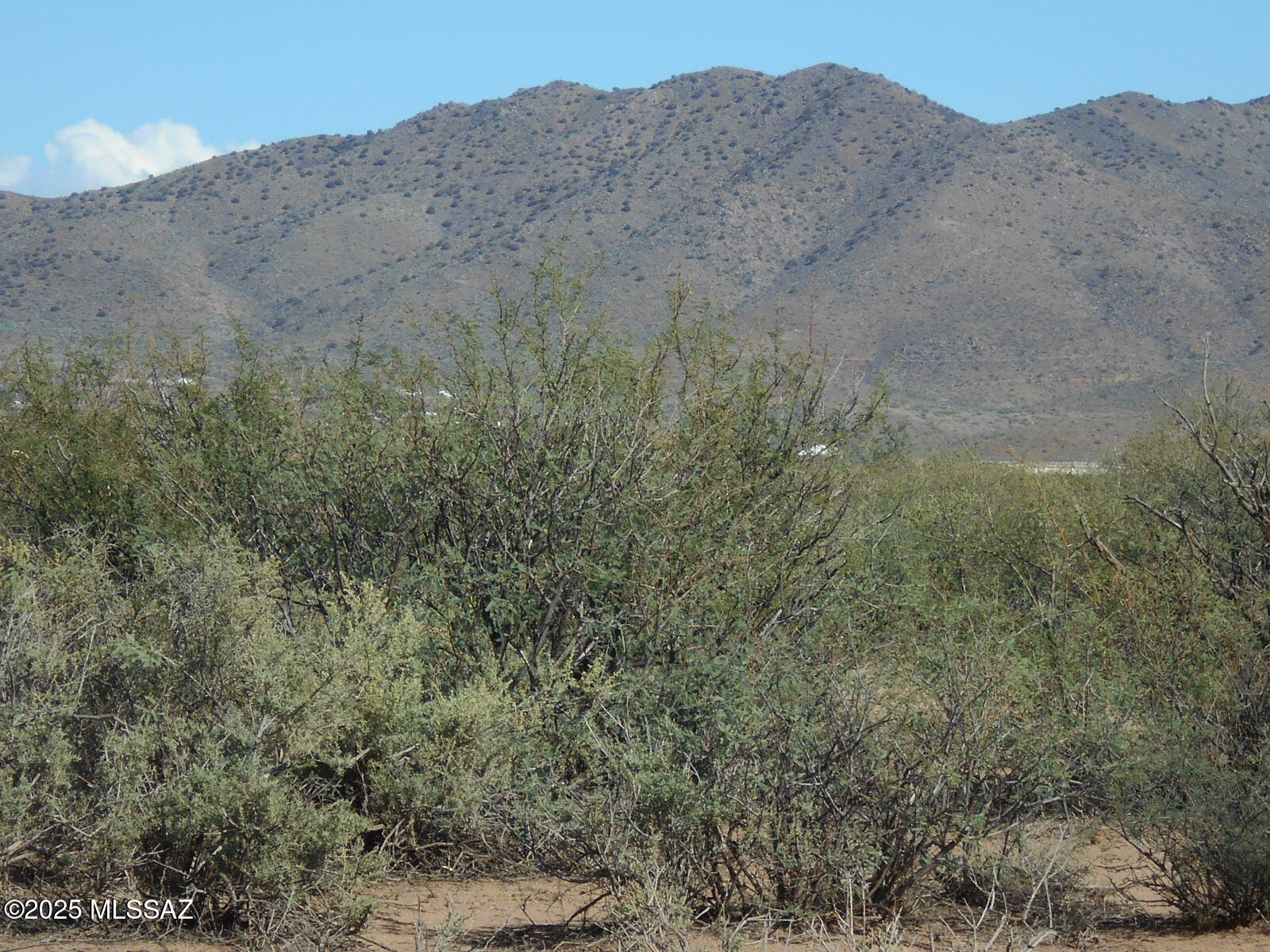 36.8-acres West Old Stewart Road, Unit 53 Willcox, AZ 85643 - Photo 1 of 42