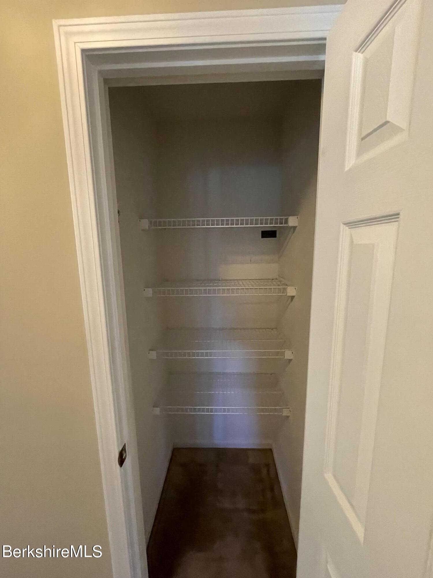 181 Main Road Monterey, MA 01230 - Photo 11 of 63 HALL CLOSET