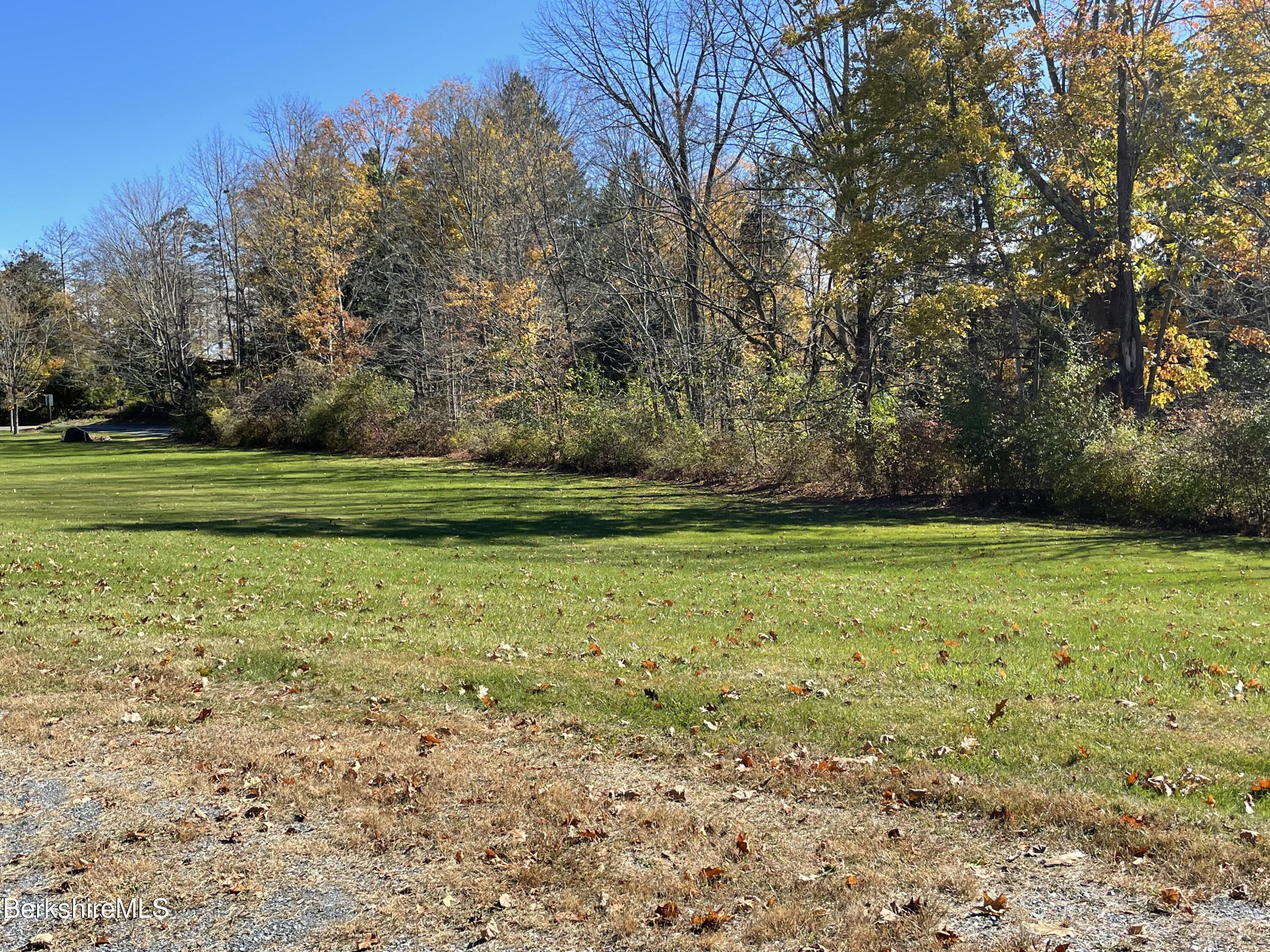 181 Main Road Monterey, MA 01230 - Photo 45 of 63 a view of a yard with a trees