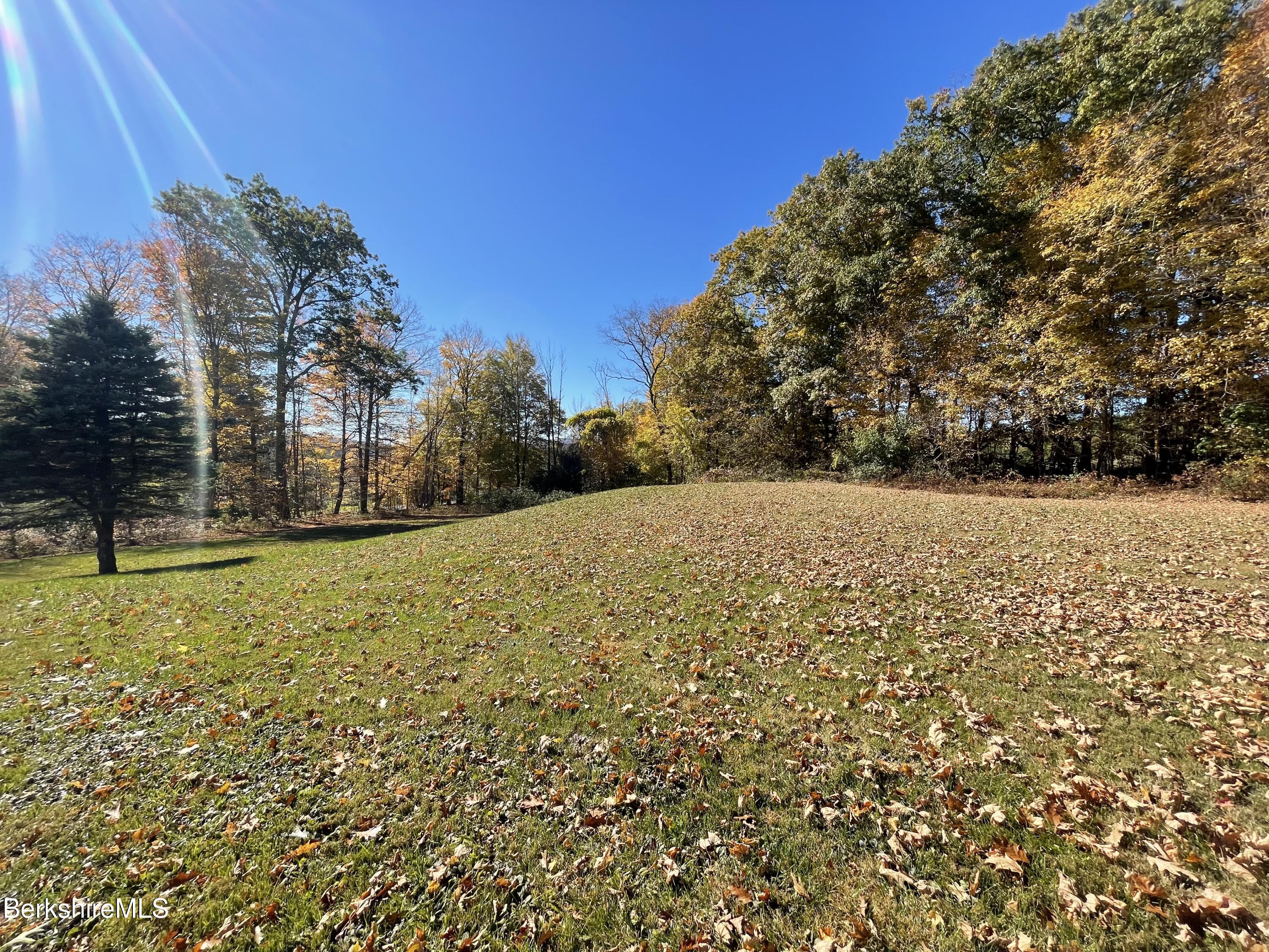 181 Main Road Monterey, MA 01230 - Photo 46 of 63 a view of backyard of house with trees