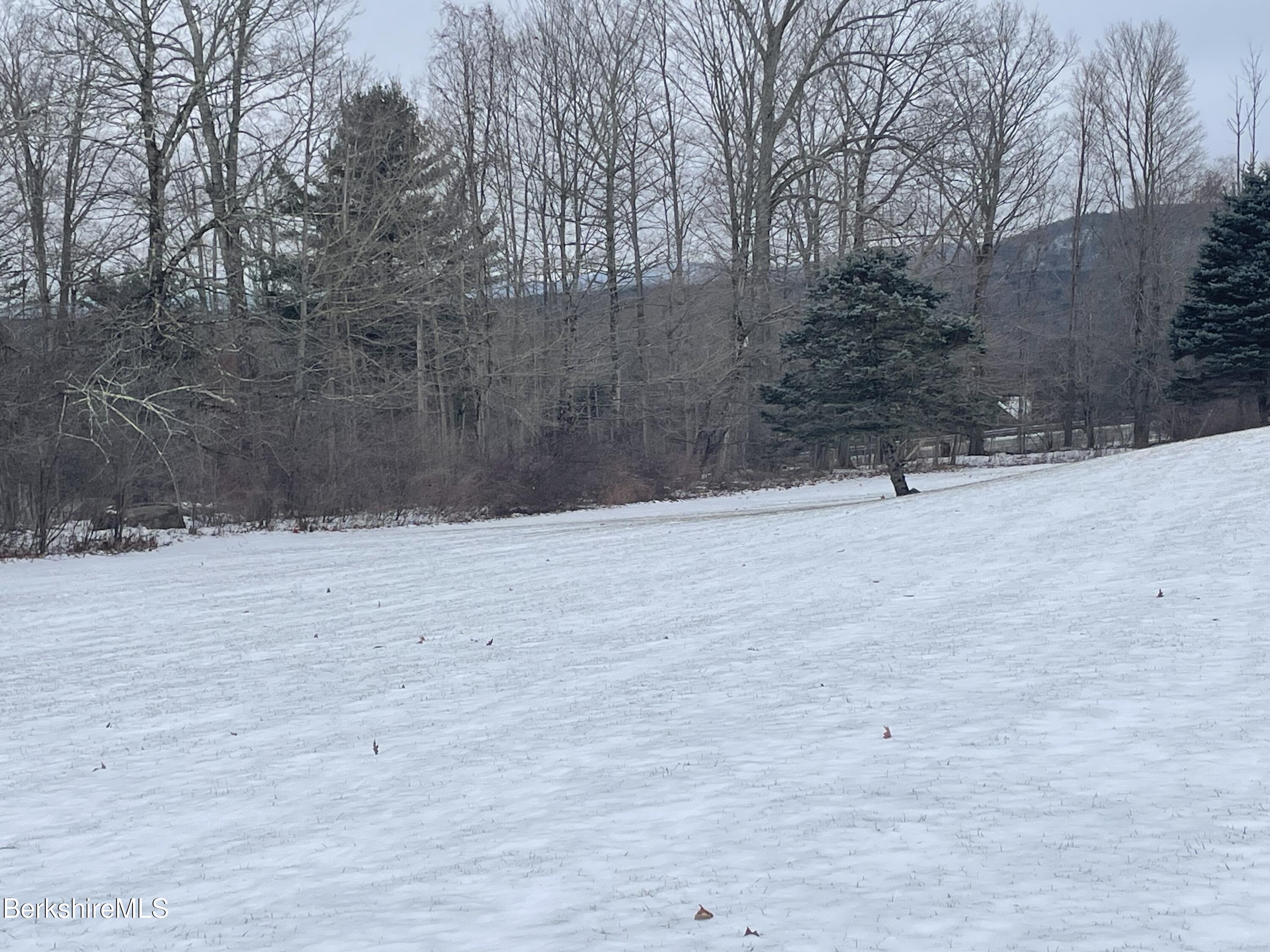181 Main Road Monterey, MA 01230 - Photo 51 of 63 a view of a yard