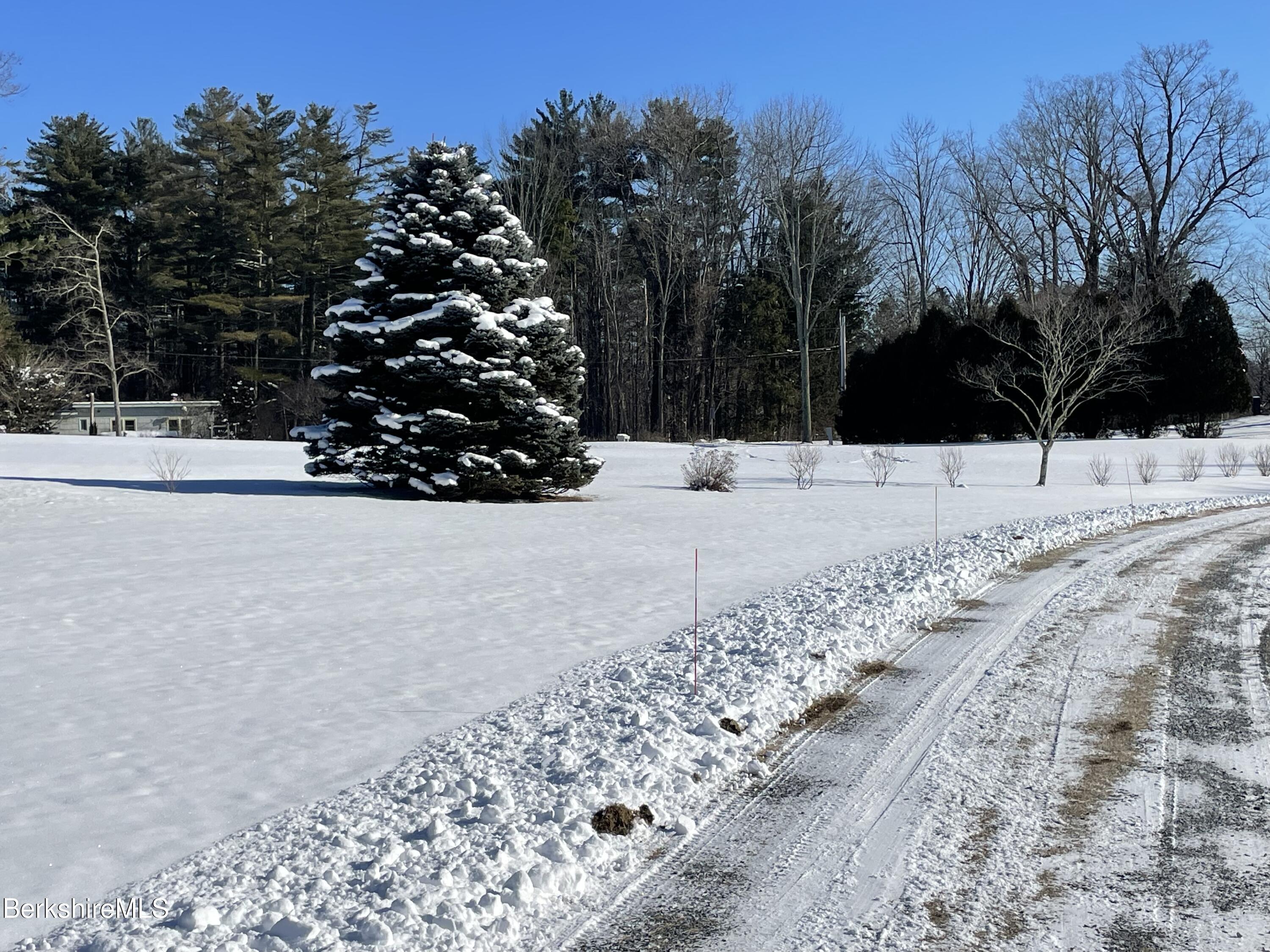 181 Main Road Monterey, MA 01230 - Photo 54 of 63 a view of a yard covered with snow in front of house