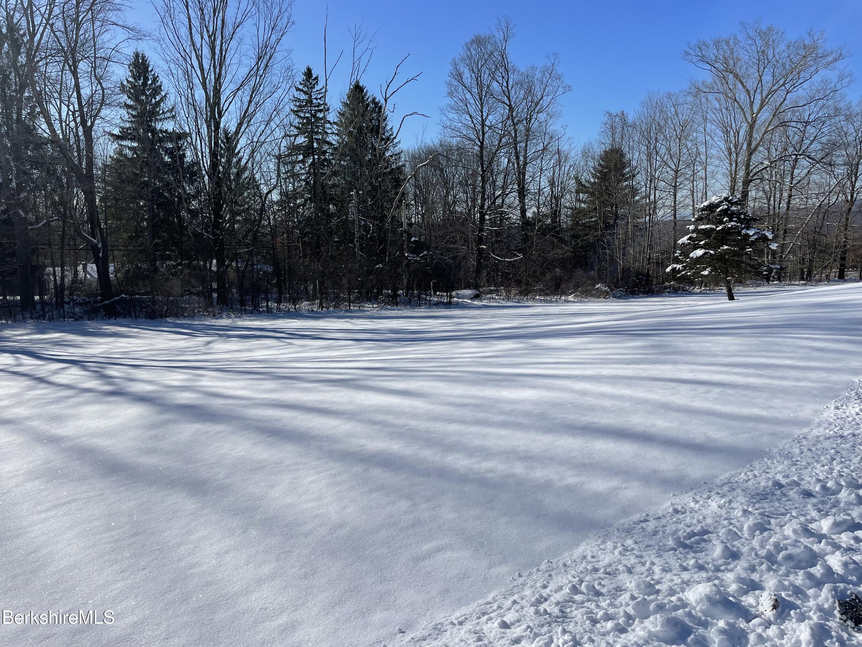 181 Main Road Monterey, MA 01230 - Photo 56 of 63 a view of a yard with large trees