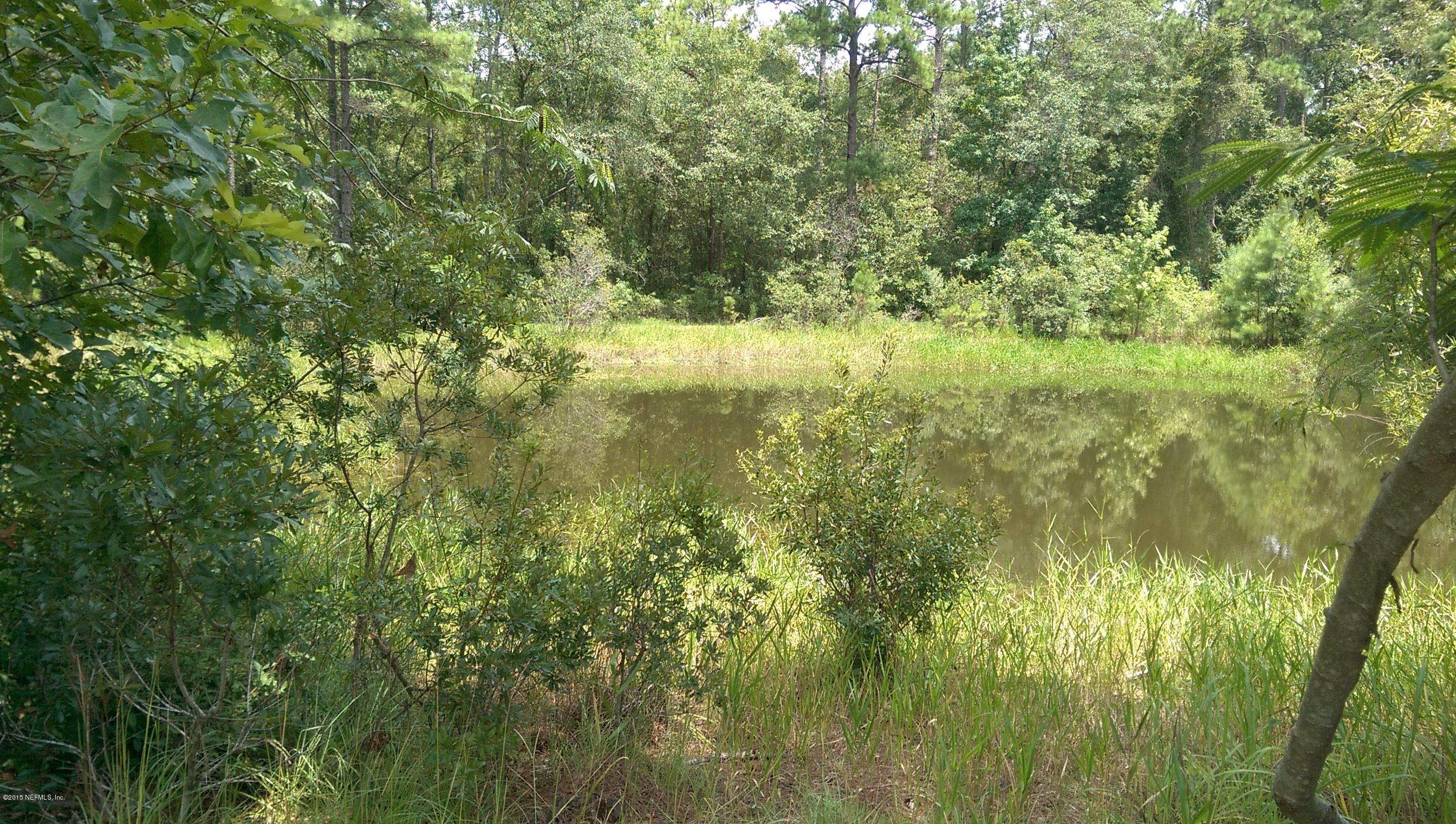 1687 Nolan Road Middleburg, FL 32068 - Photo 5 of 9 IMAG4656