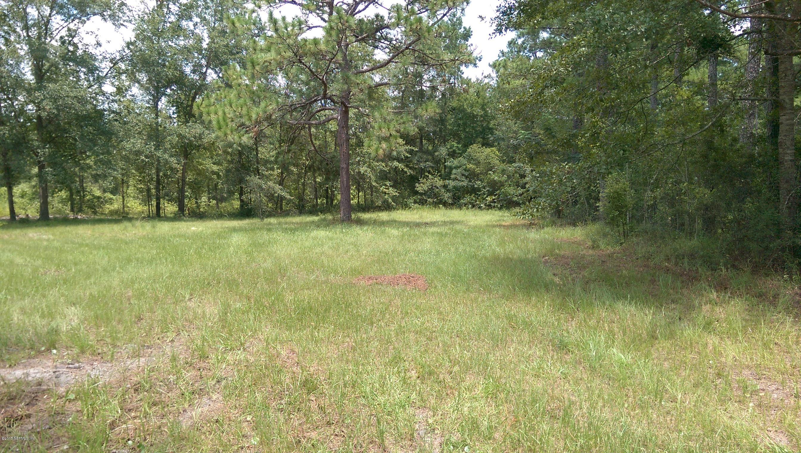1687 Nolan Road Middleburg, FL 32068 - Photo 6 of 9 IMAG4654