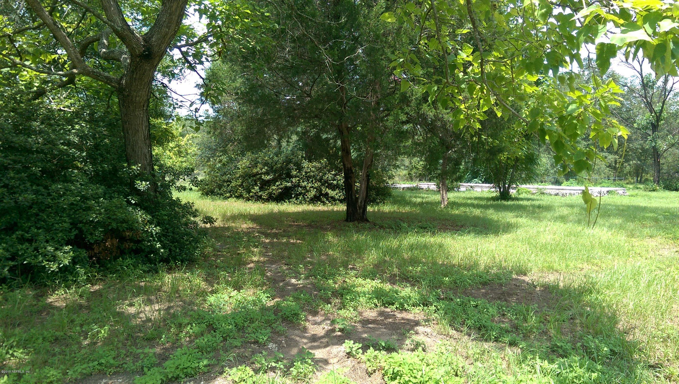 1687 Nolan Road Middleburg, FL 32068 - Photo 9 of 9 IMAG4651