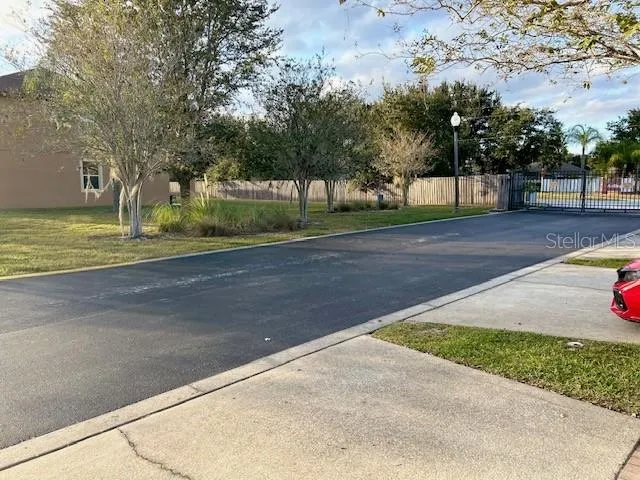 a view of yard with tree s