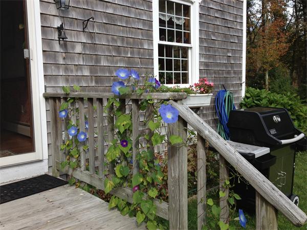 124 Acushnet Road Mattapoisett, MA 02739 - Photo 8 of 20 Gallery Image 8