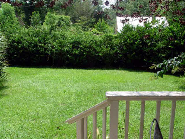 106 Morphy Avenue Fairhope, AL 36532 - Photo 37 of 38 Back yard right