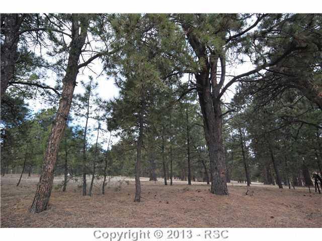 17280 Lodgepole Road Peyton, CO 80831 - Photo 1 of 3 Gallery Image 1
