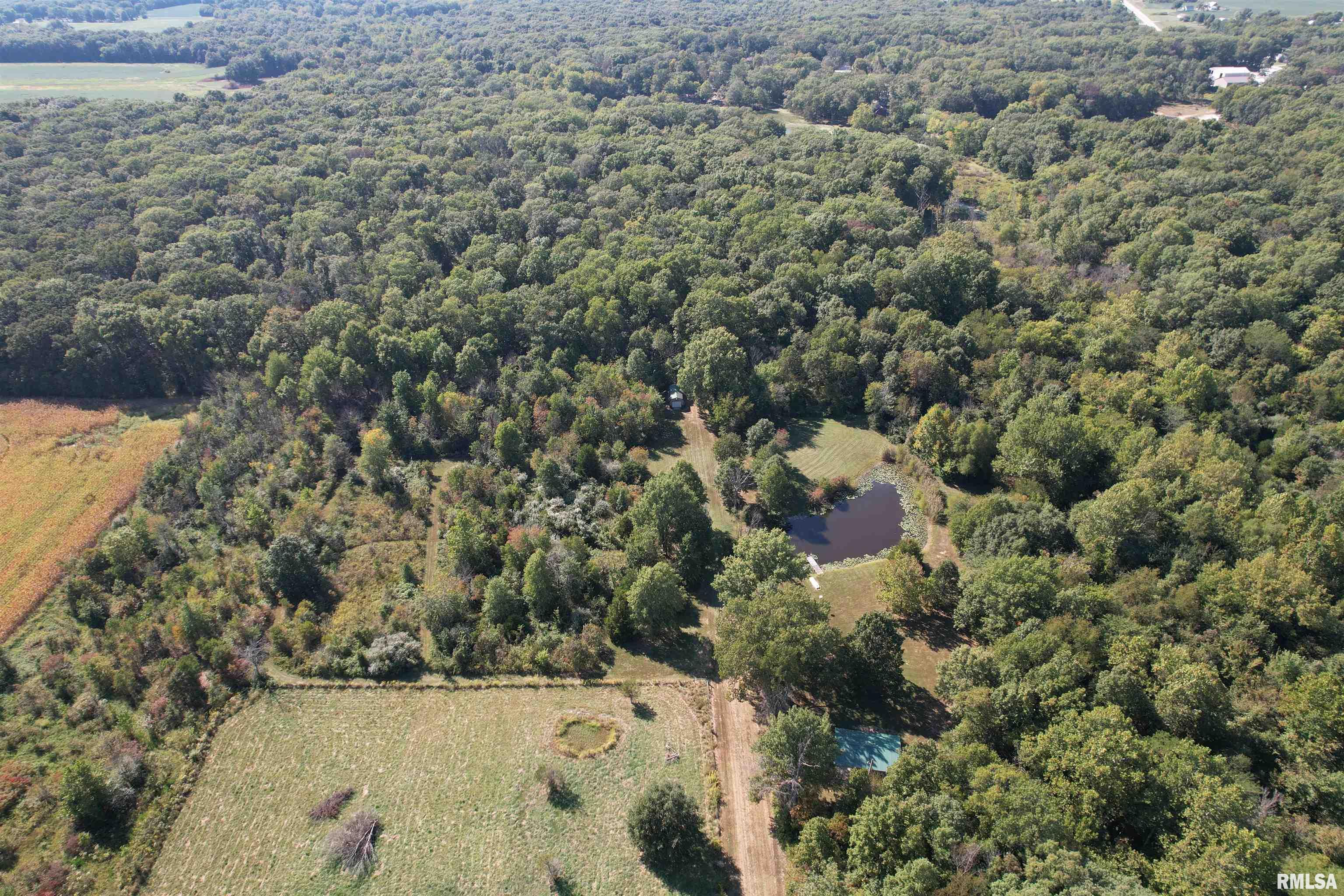 1037 Burge Road Centralia, IL 62801 - Photo 11 of 48