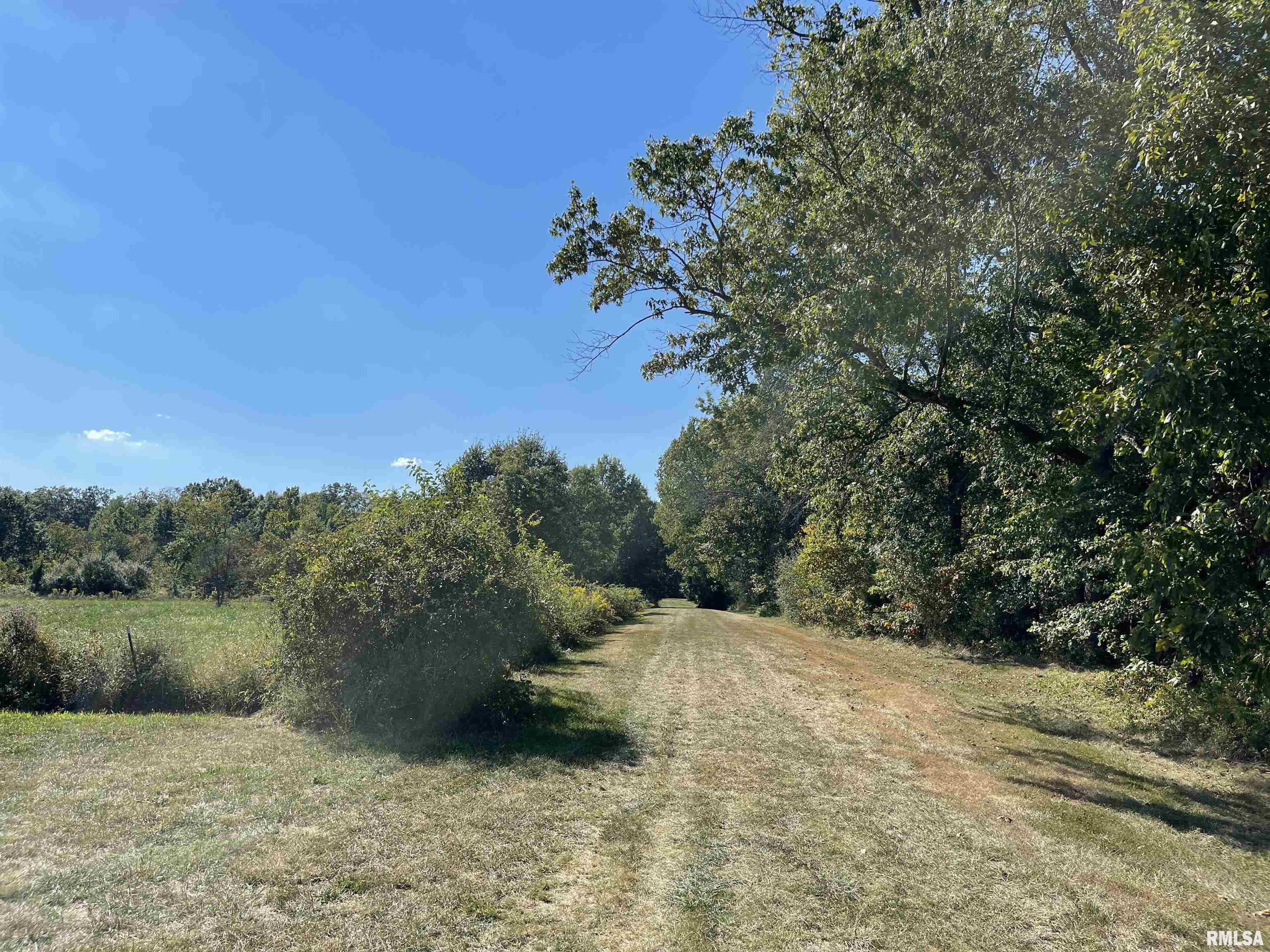 1037 Burge Road Centralia, IL 62801 - Photo 18 of 48