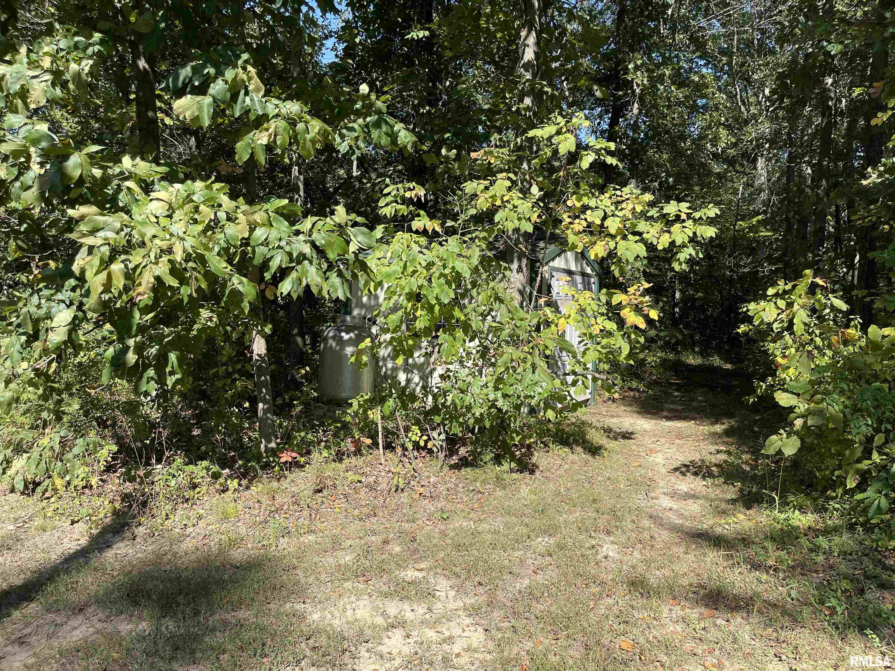 1037 Burge Road Centralia, IL 62801 - Photo 25 of 48