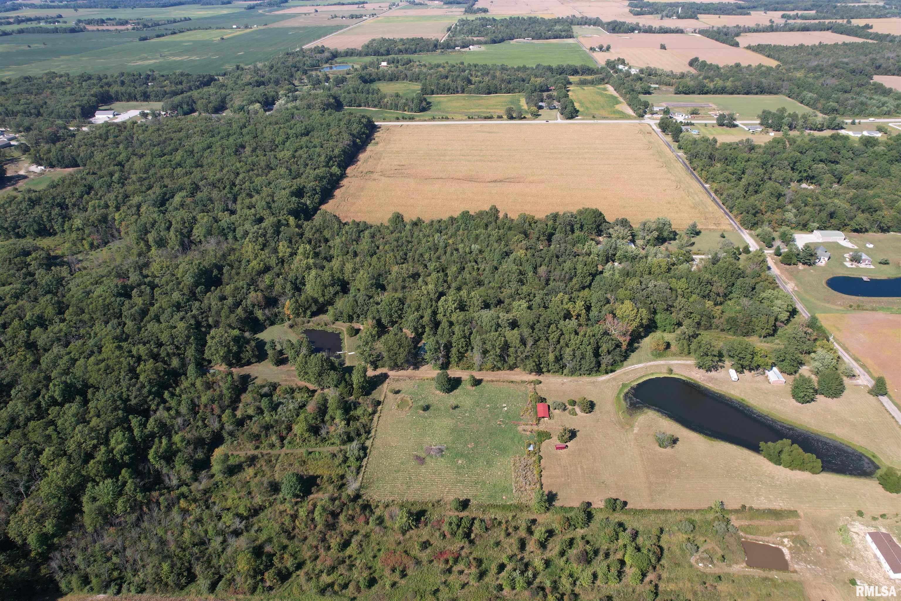 1037 Burge Road Centralia, IL 62801 - Photo 3 of 48