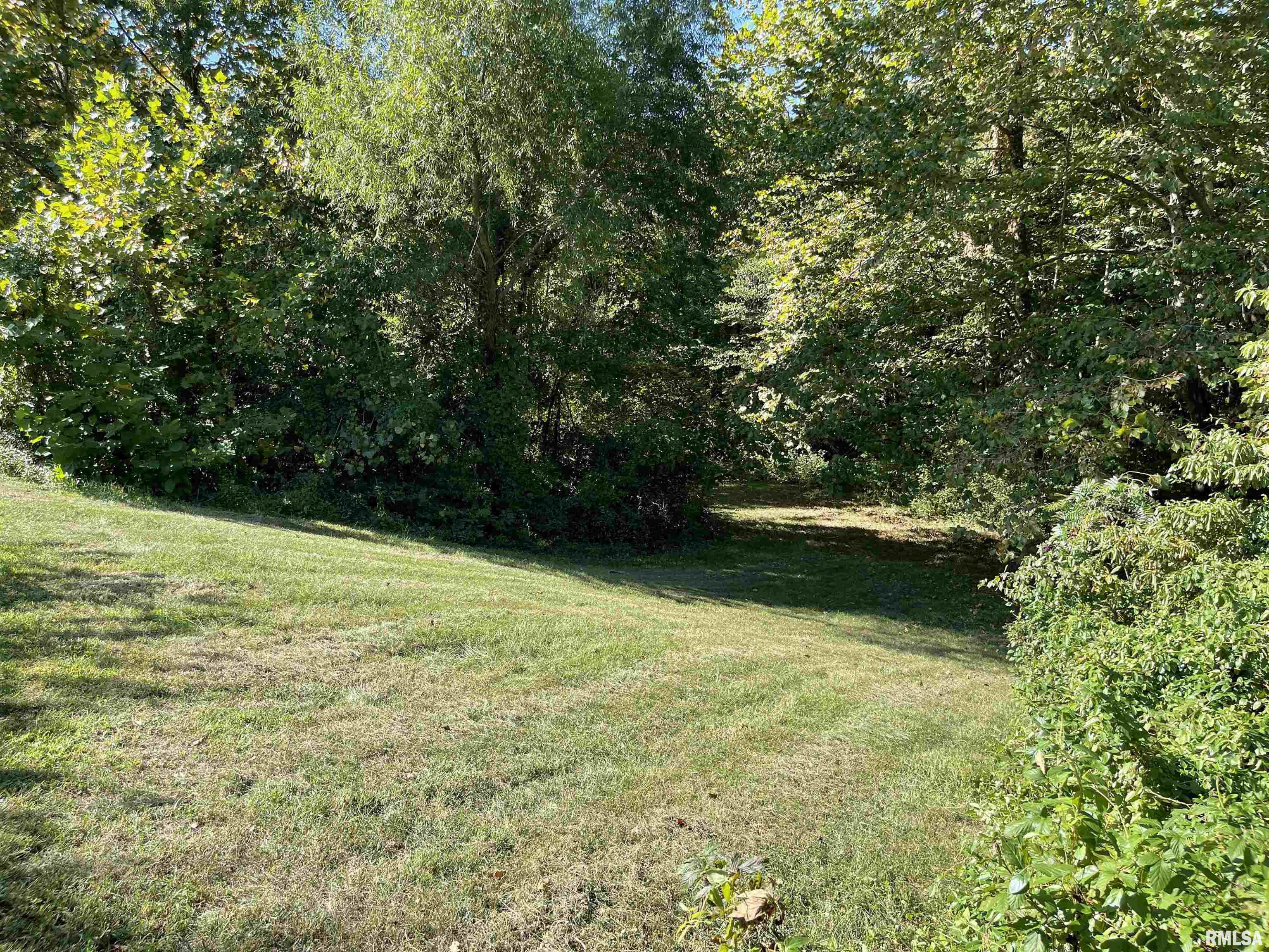 1037 Burge Road Centralia, IL 62801 - Photo 34 of 48